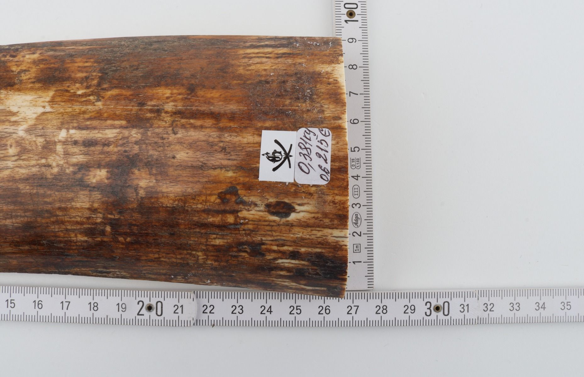 Brown-orange mammoth bark