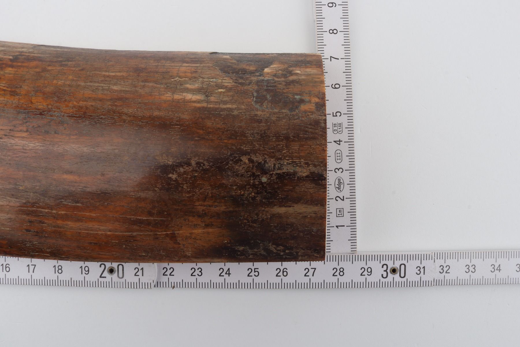 Brown-orange mammoth bark