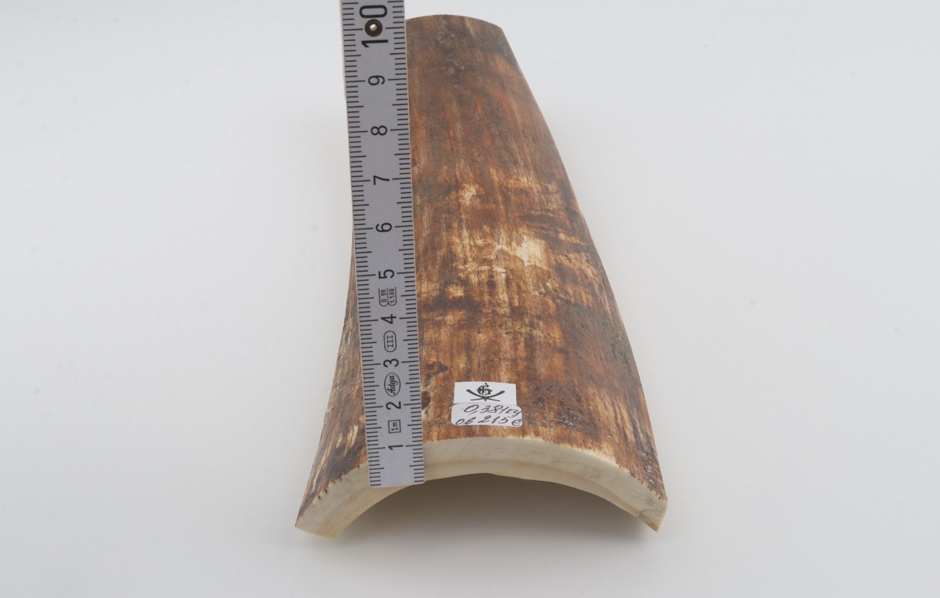 Brown-orange mammoth bark