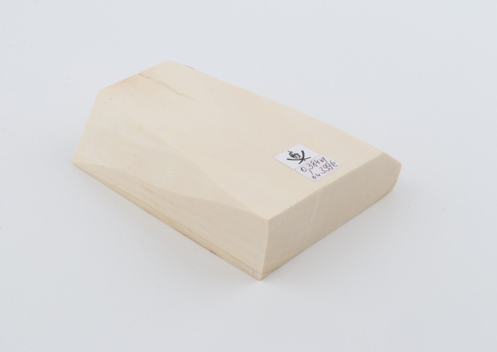White mammoth ivory segment