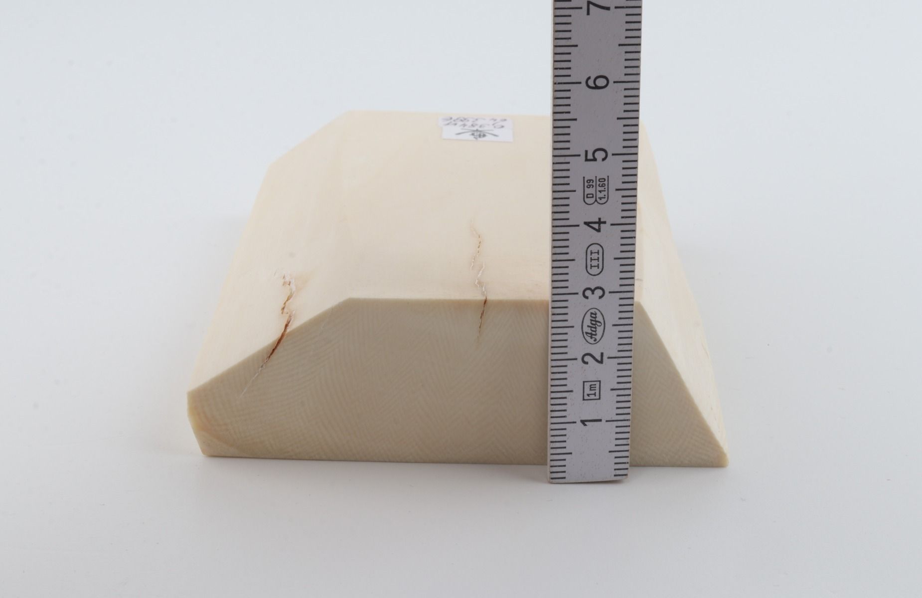 White mammoth ivory segment