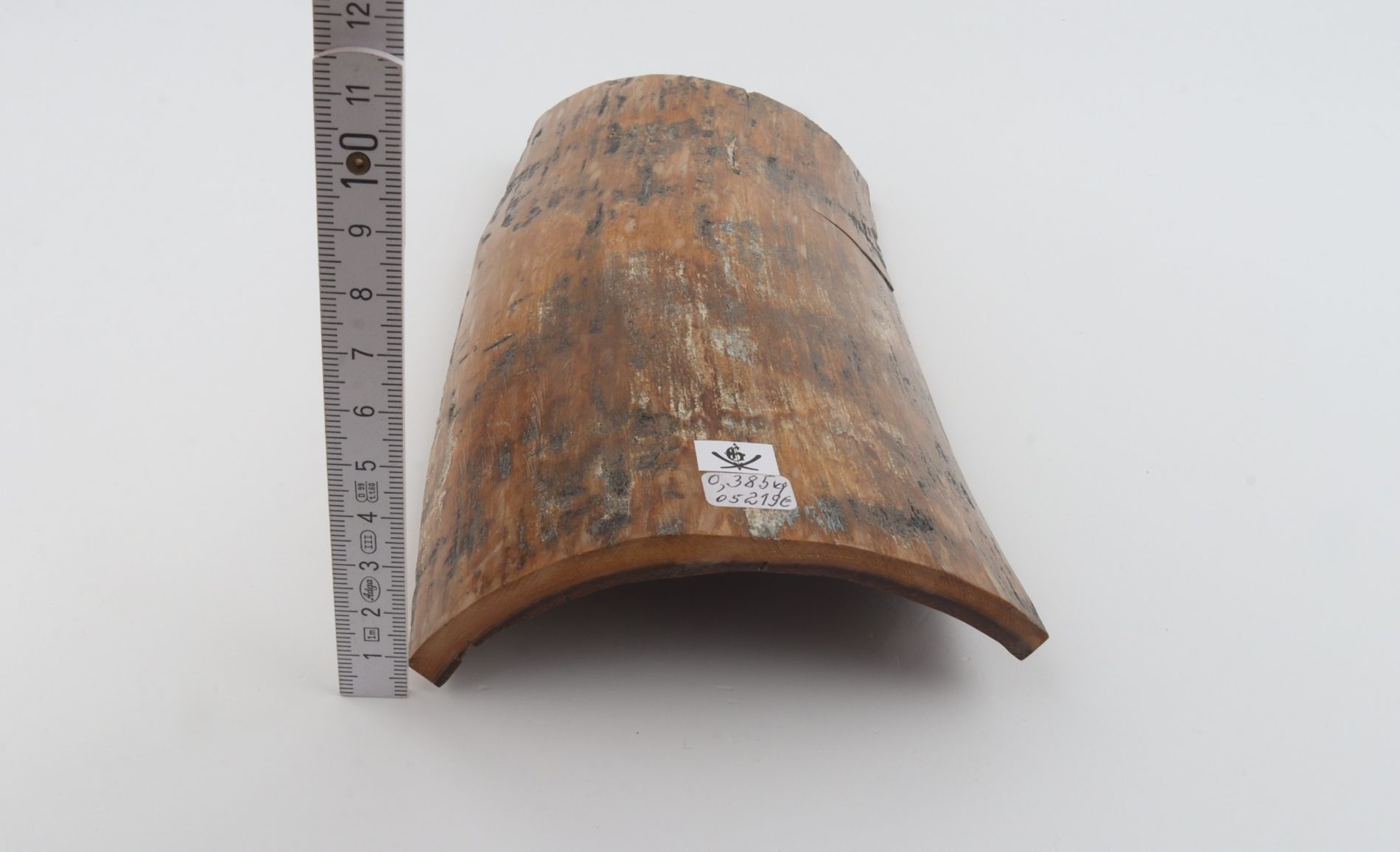 Brown-mustard mammoth bark