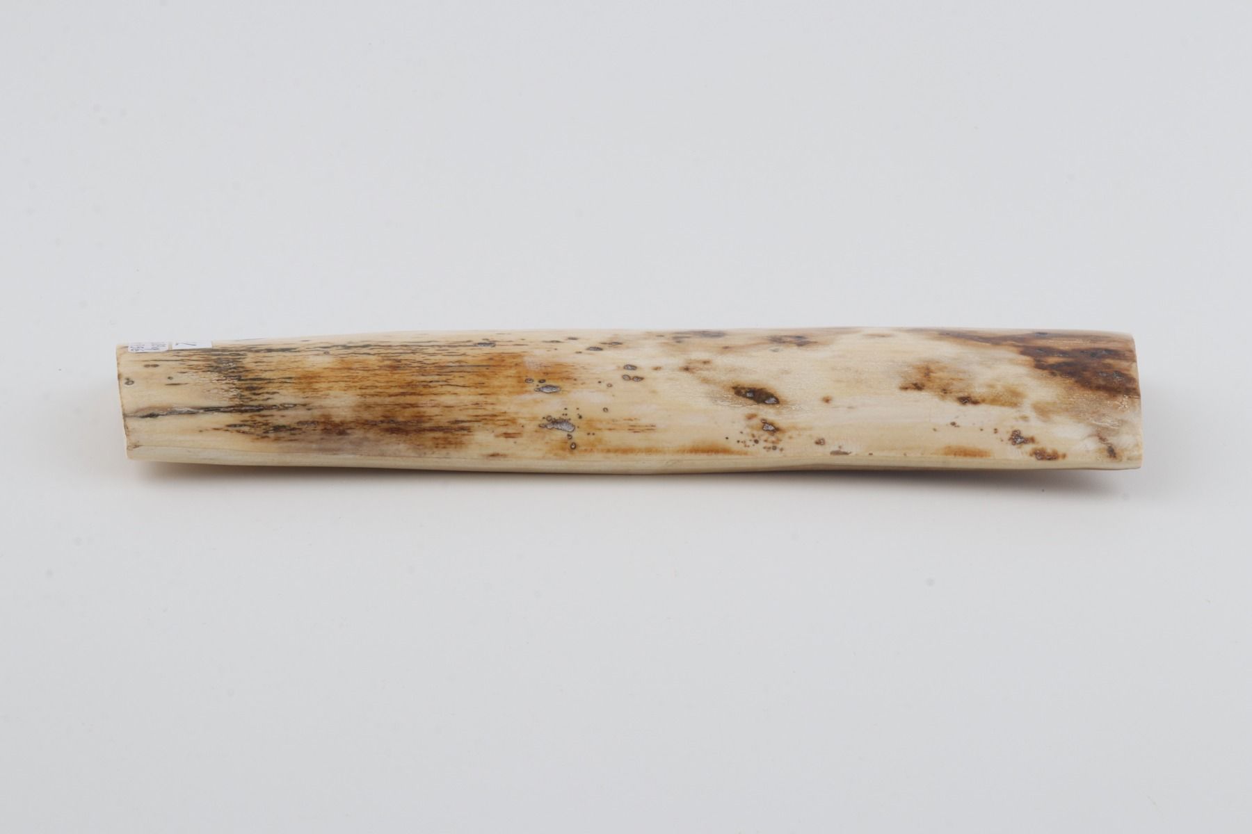Natural mammoth bark