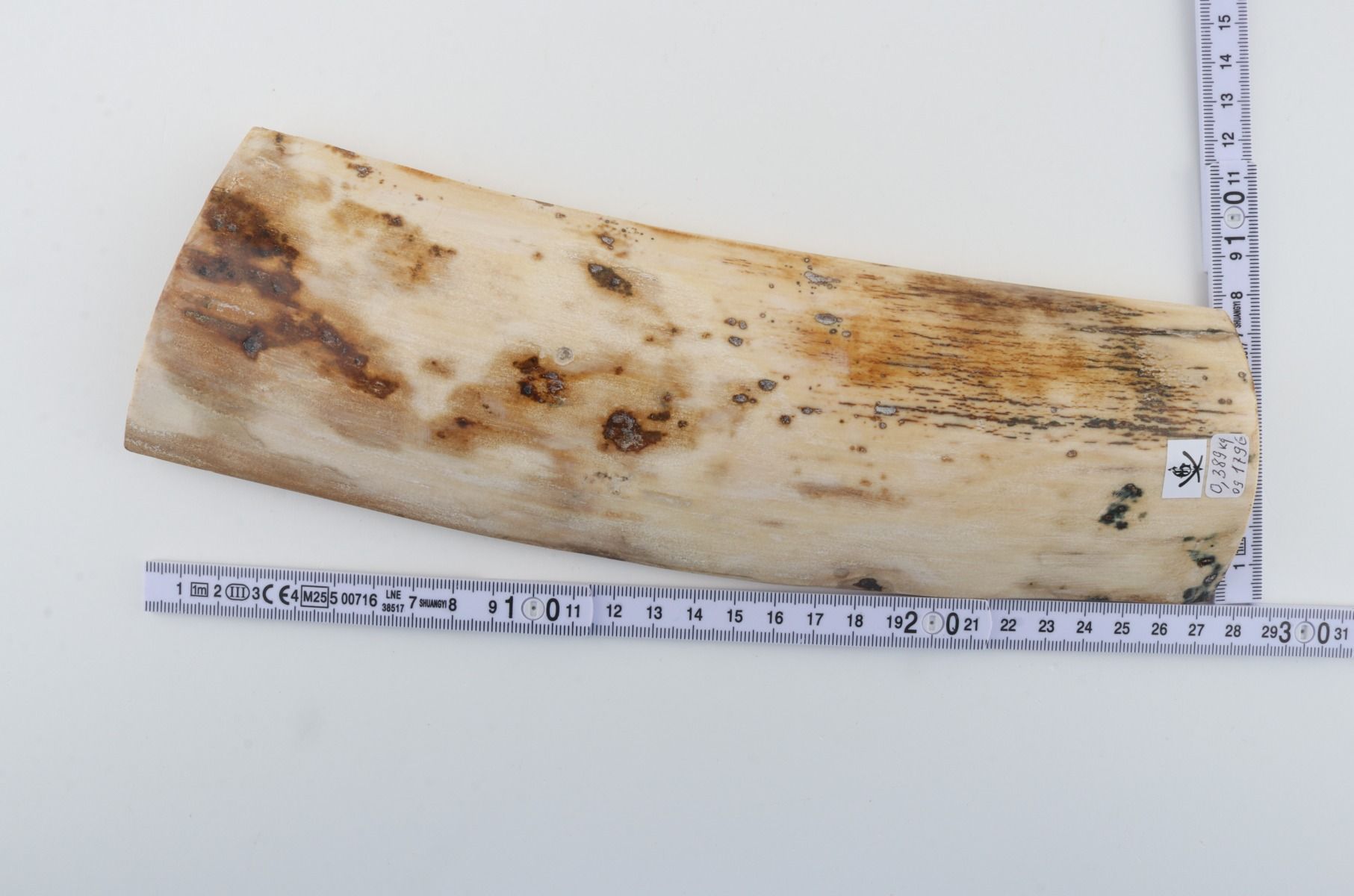 Natural mammoth bark
