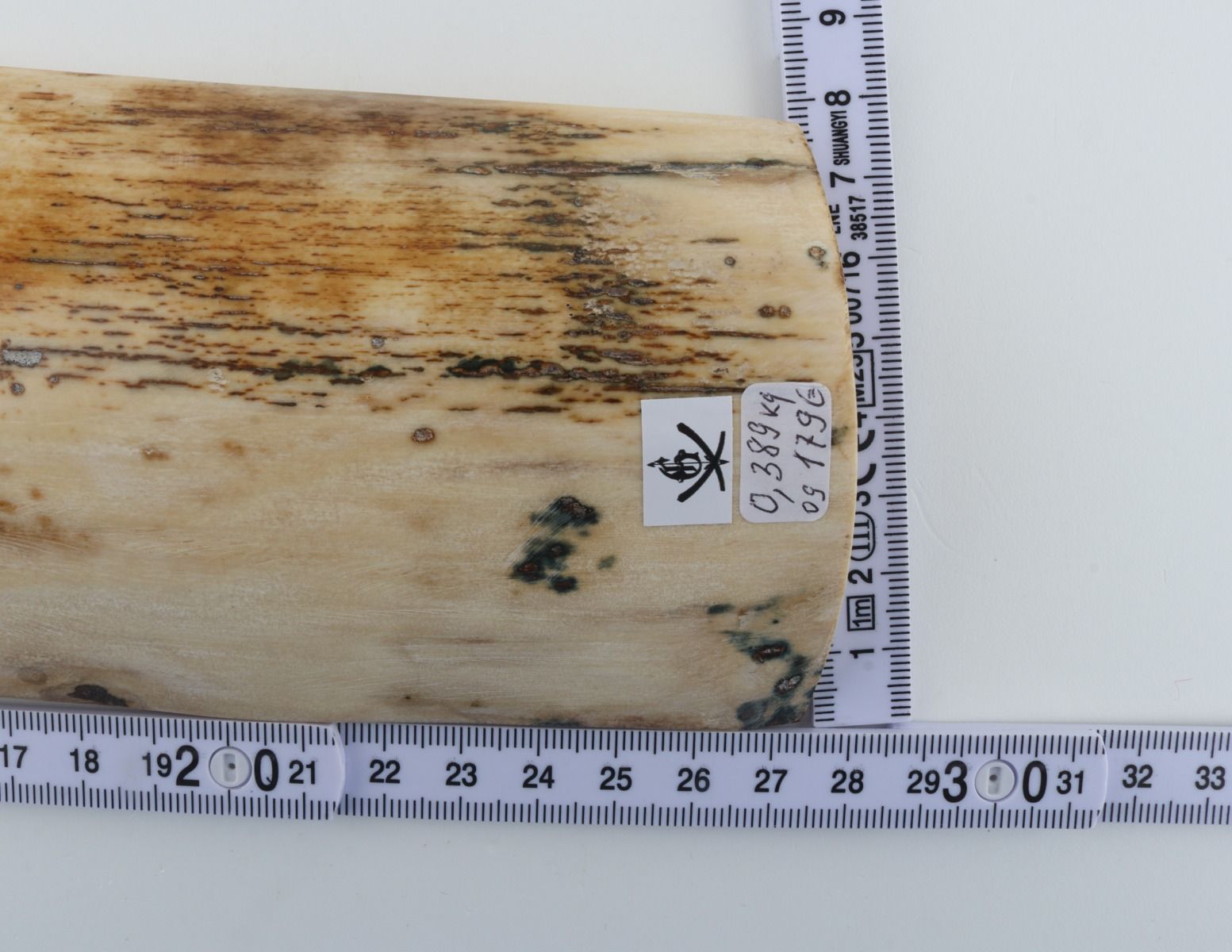 Natural mammoth bark