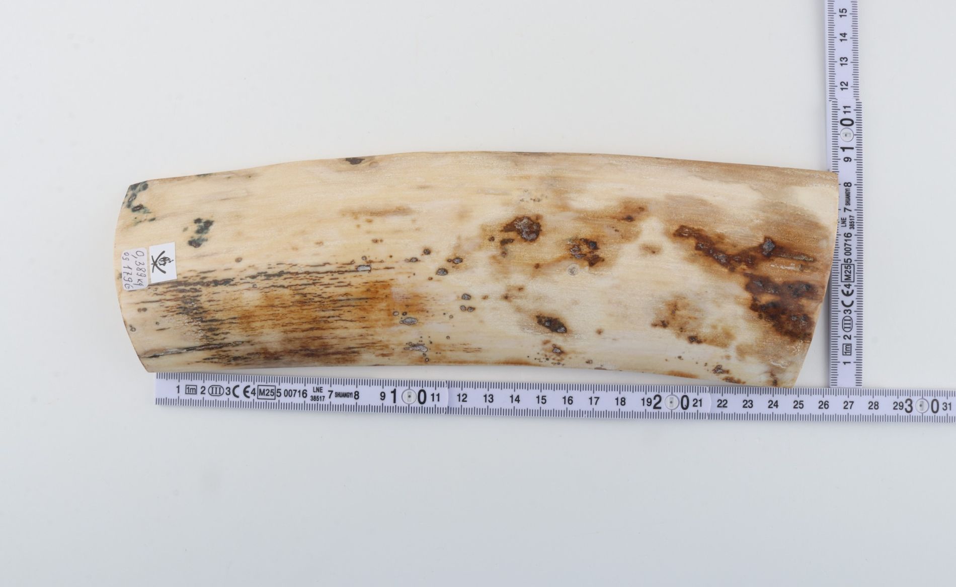 Natural mammoth bark