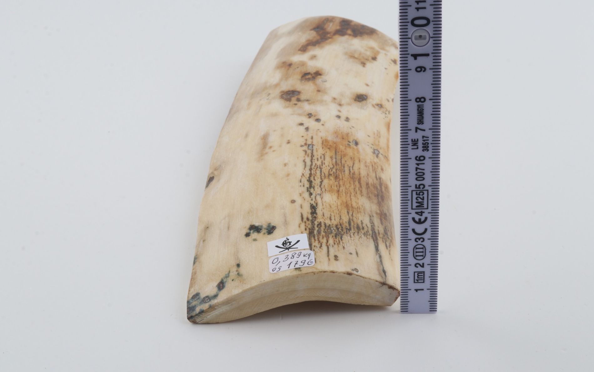 Natural mammoth bark