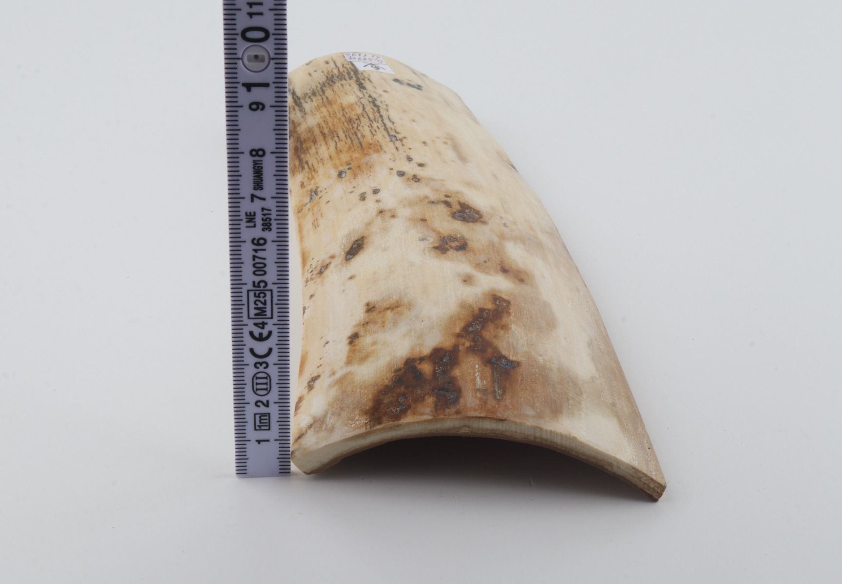 Natural mammoth bark