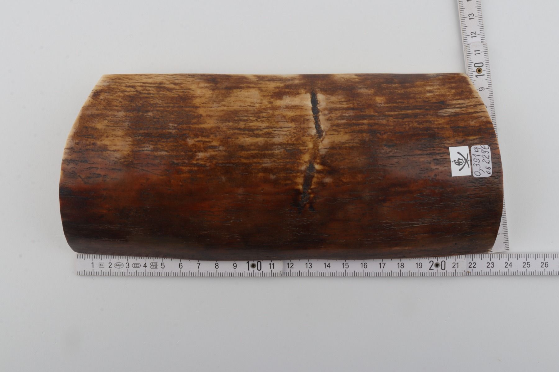 Brown-orange mammoth bark