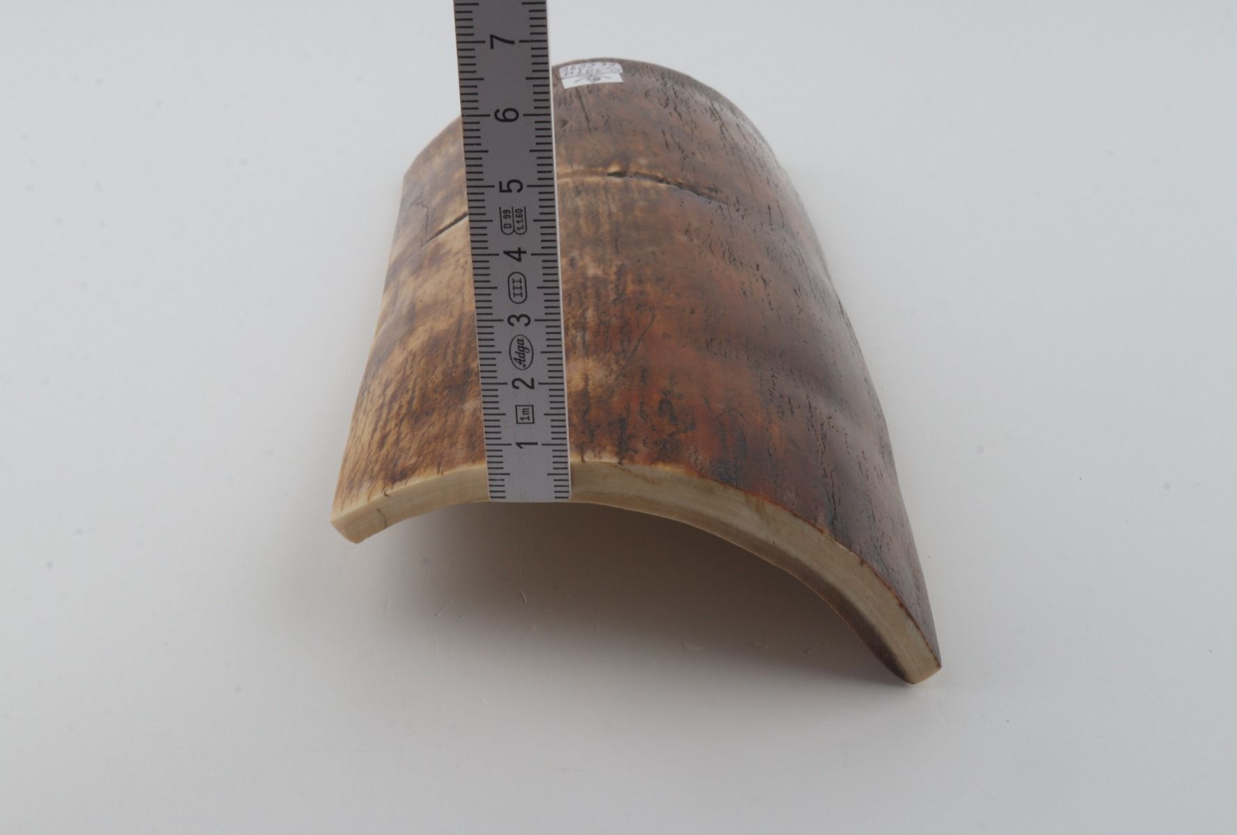 Brown-orange mammoth bark