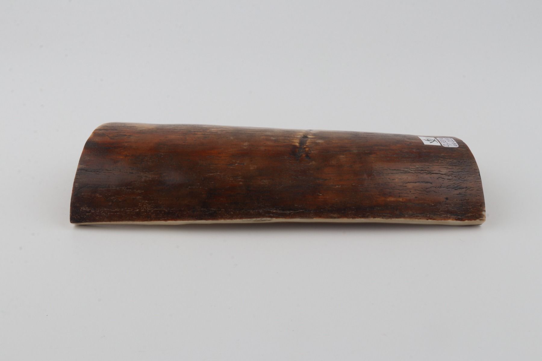 Brown-orange mammoth bark