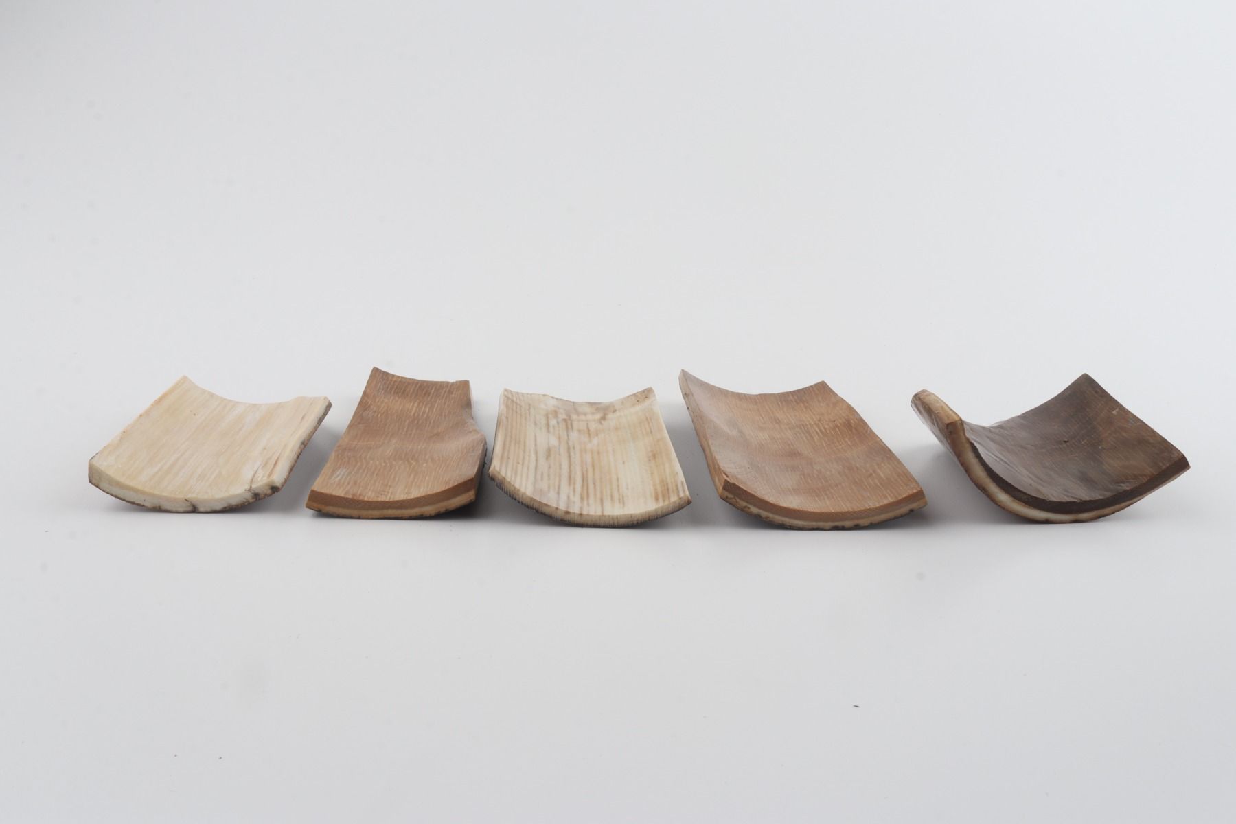 Brown mammoth bark pieces