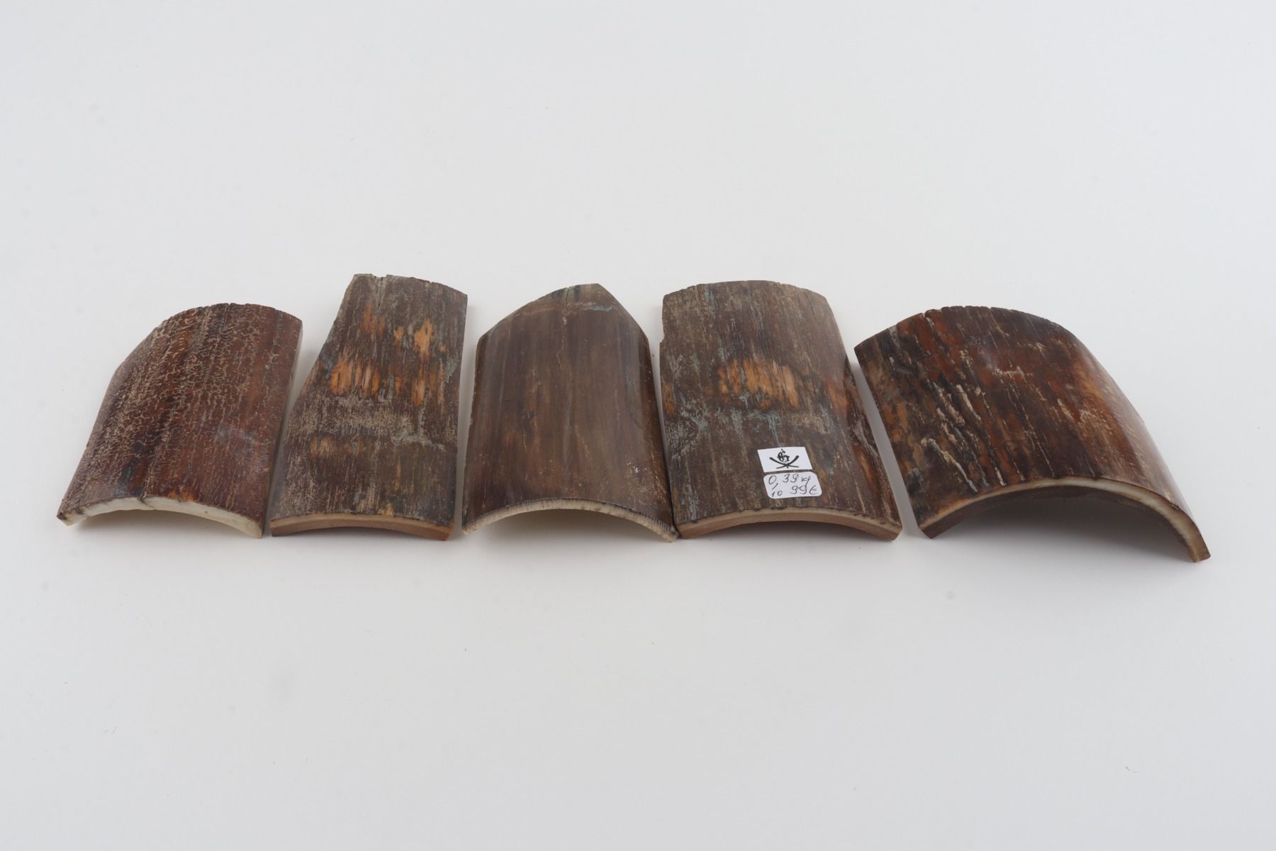 Brown mammoth bark pieces