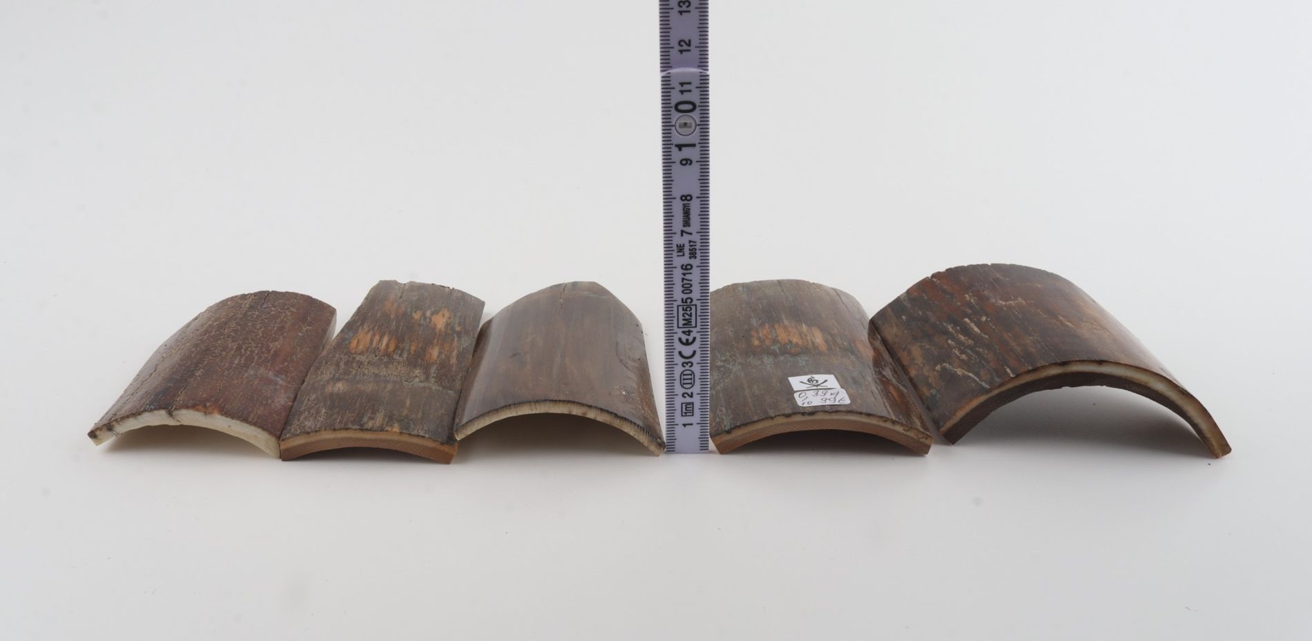 Brown mammoth bark pieces