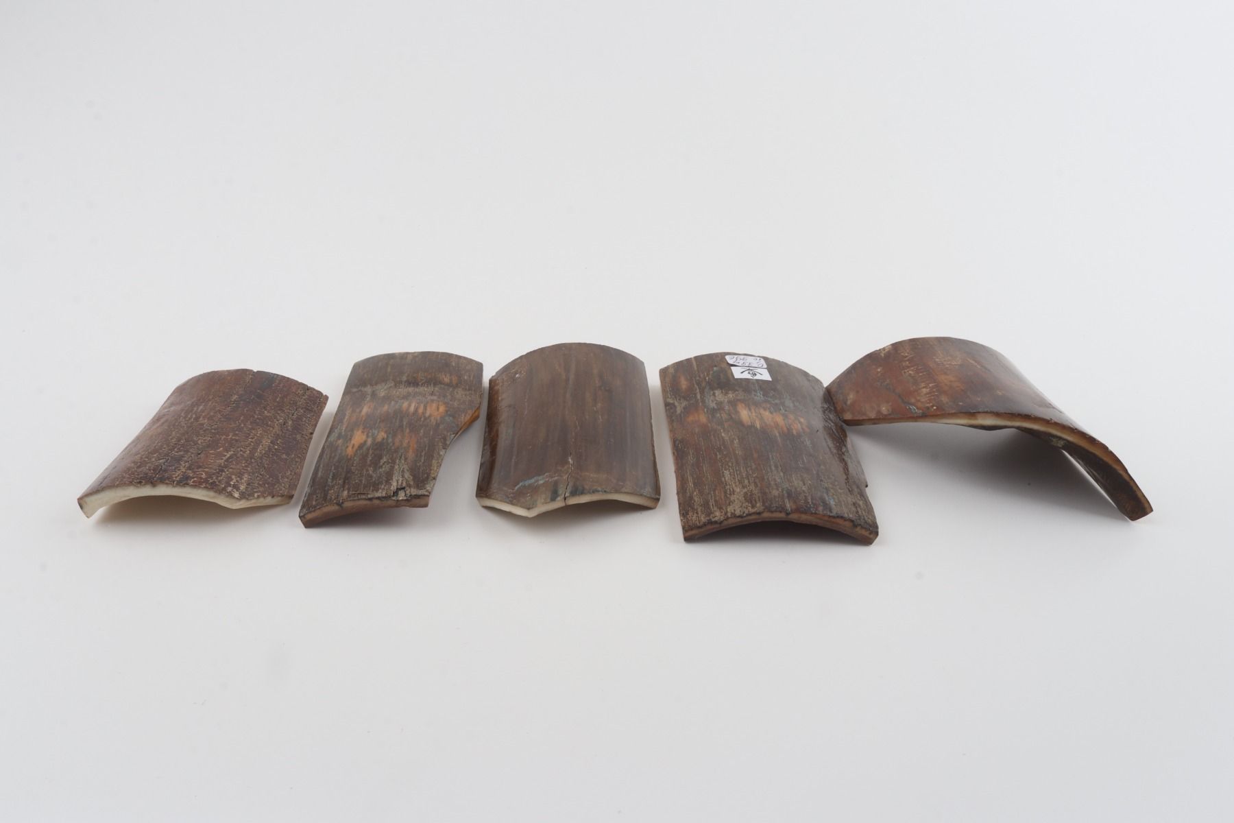 Brown mammoth bark pieces