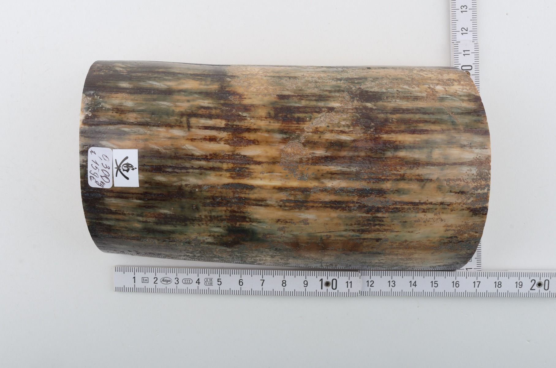 Natural mammoth bark