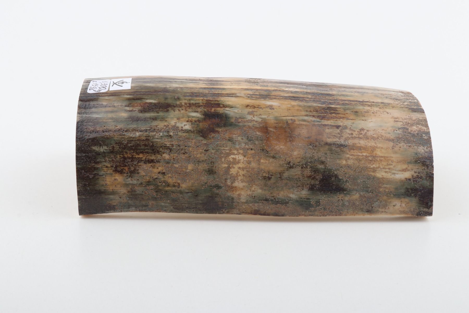 Natural mammoth bark