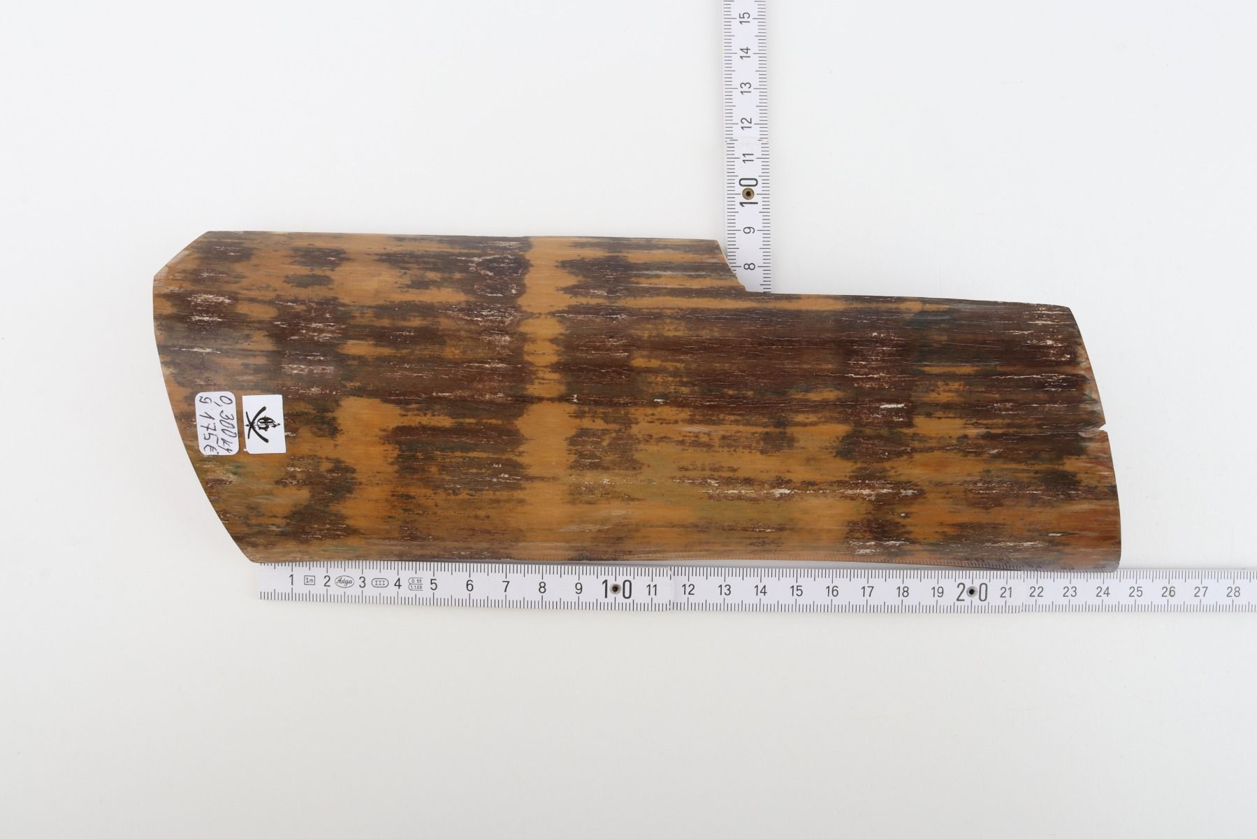 Brown-mustard mammoth bark