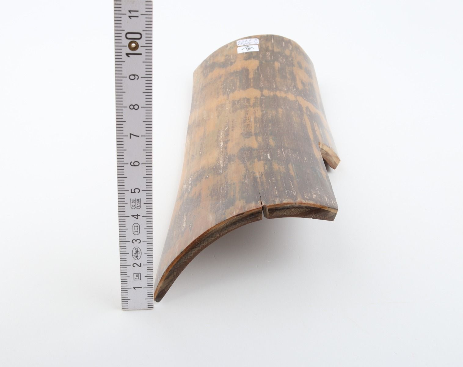 Brown-mustard mammoth bark