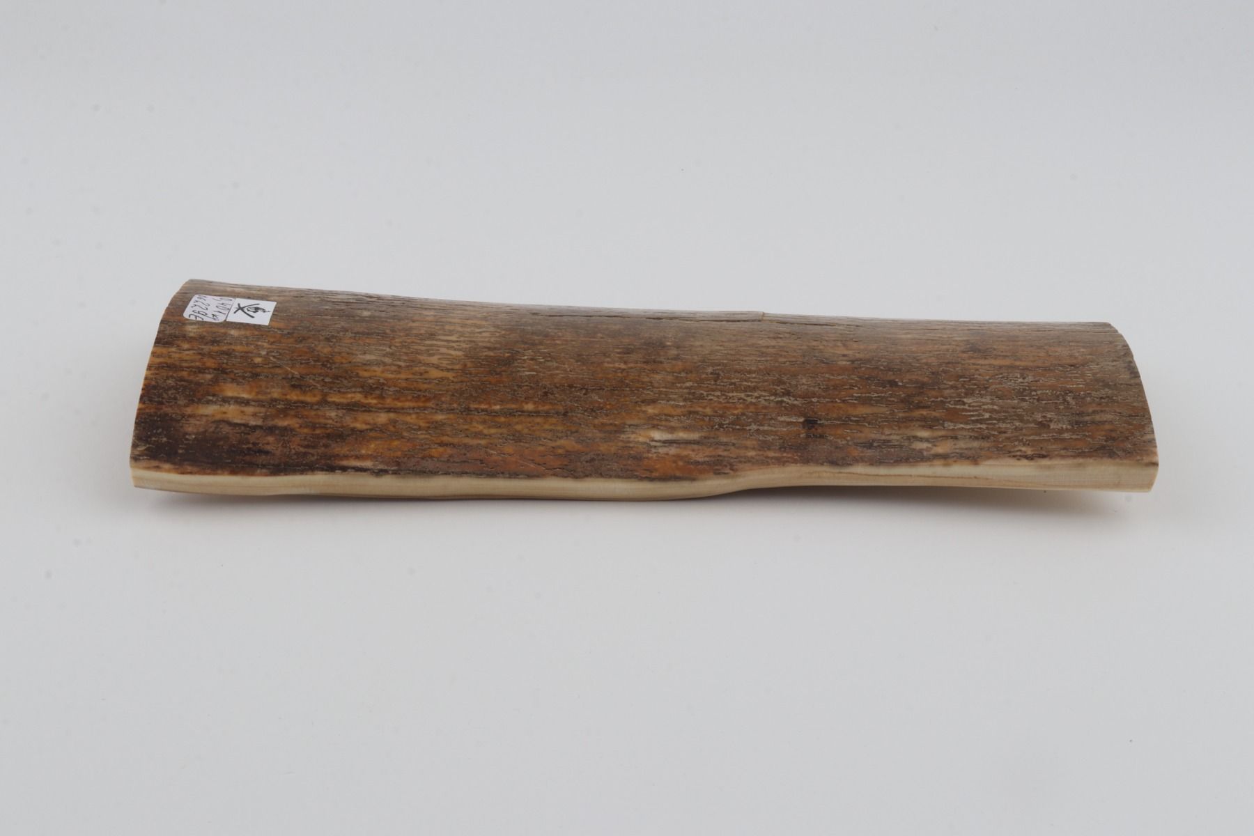 Beige mammoth bark