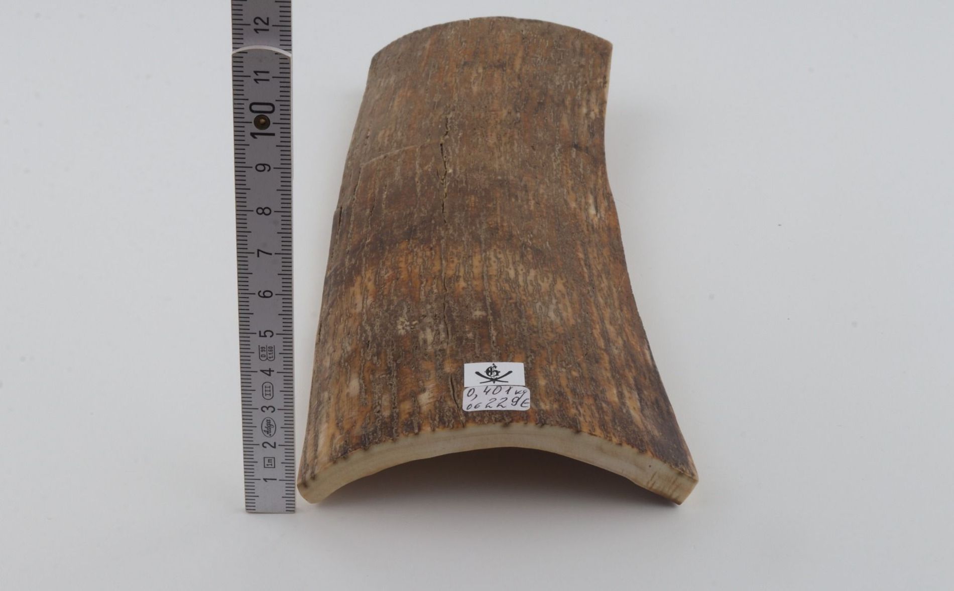 Beige mammoth bark