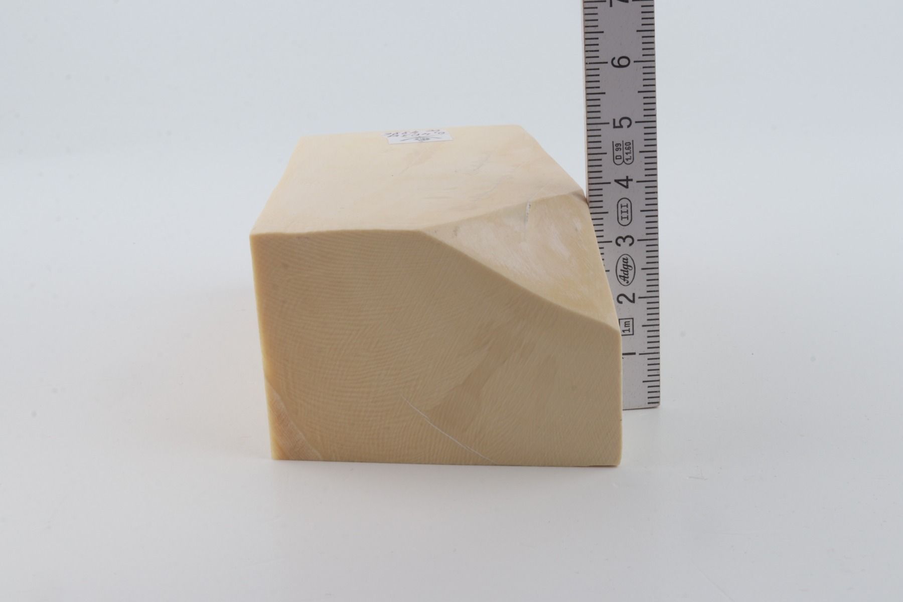 White mammoth ivory segment