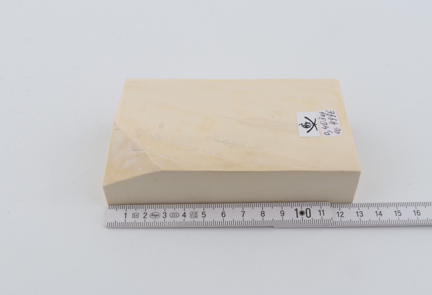 White mammoth ivory segment