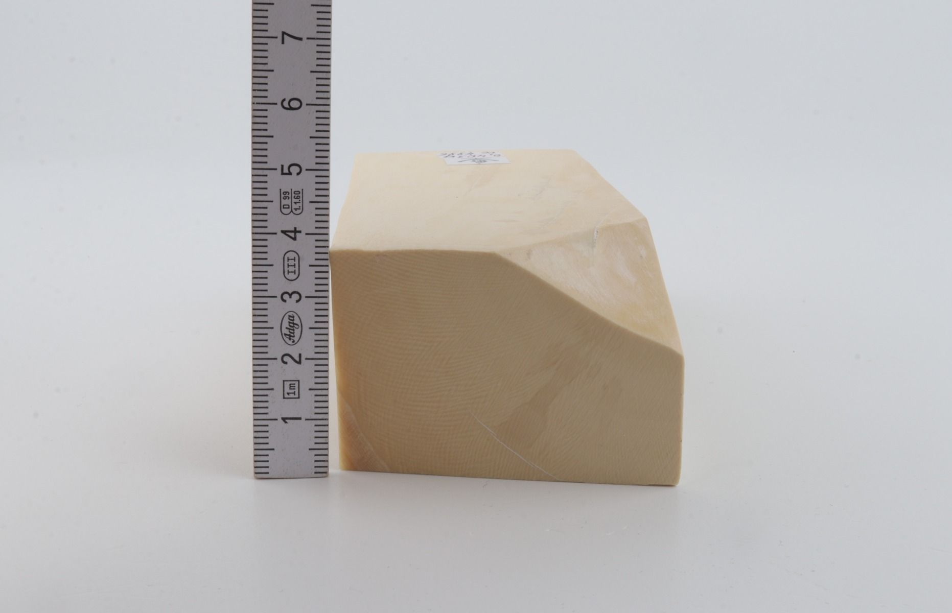 White mammoth ivory segment