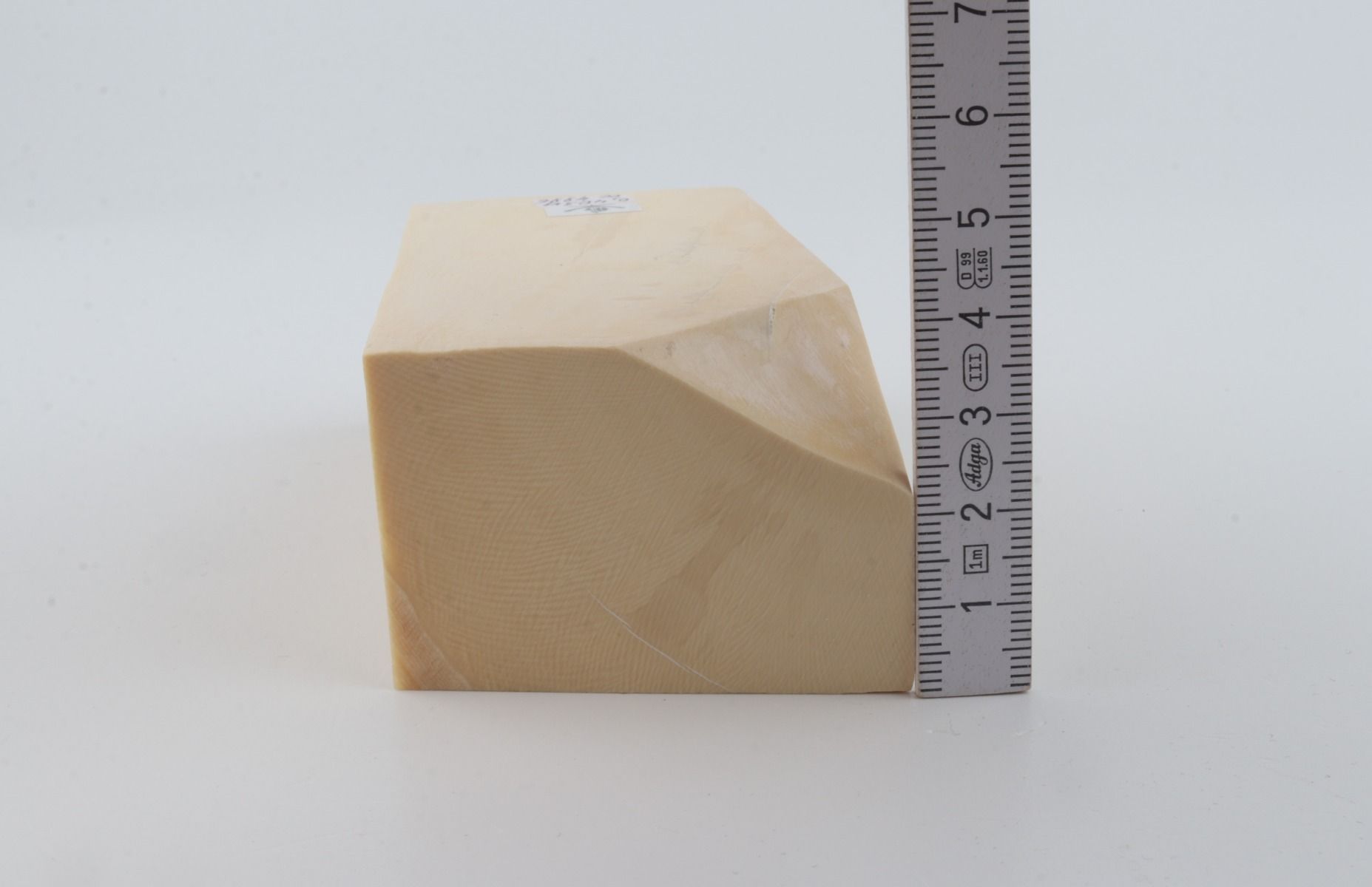 White mammoth ivory segment