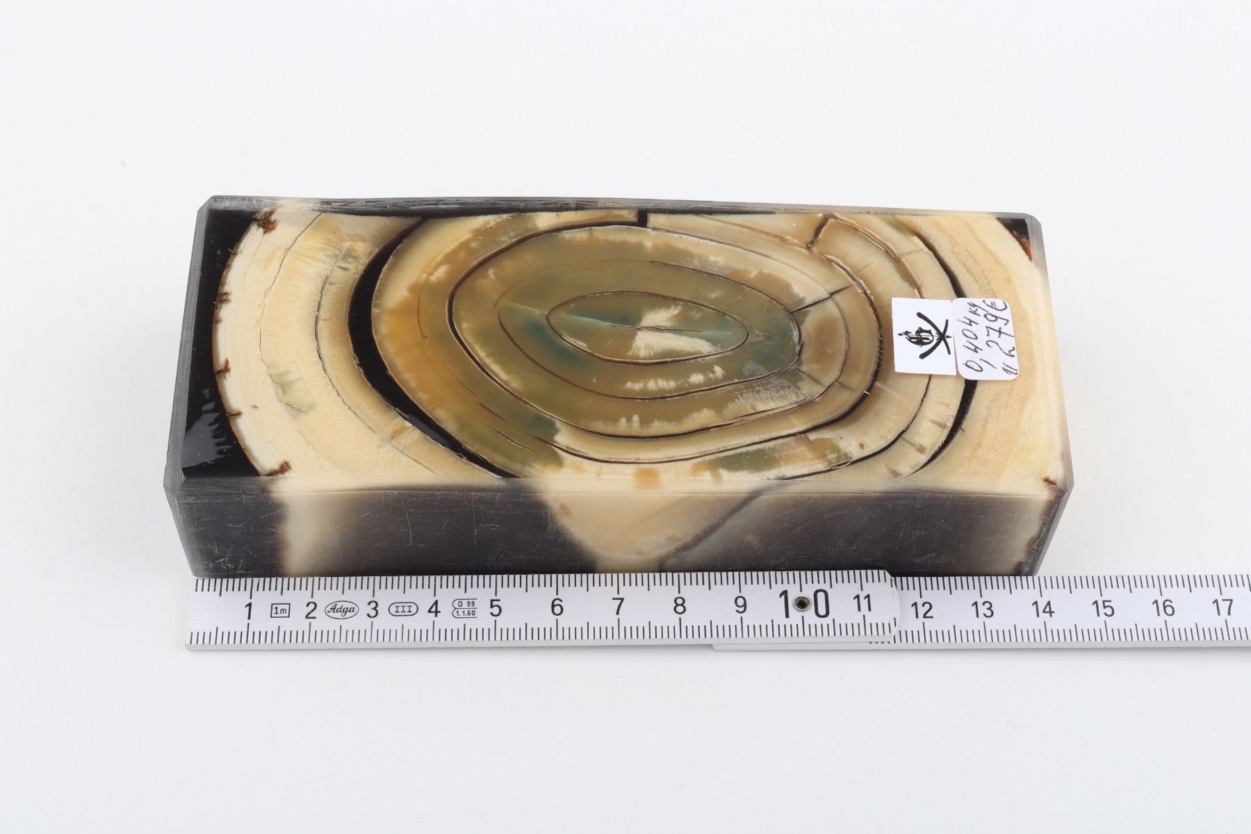 Stabilised mammoth ivory block