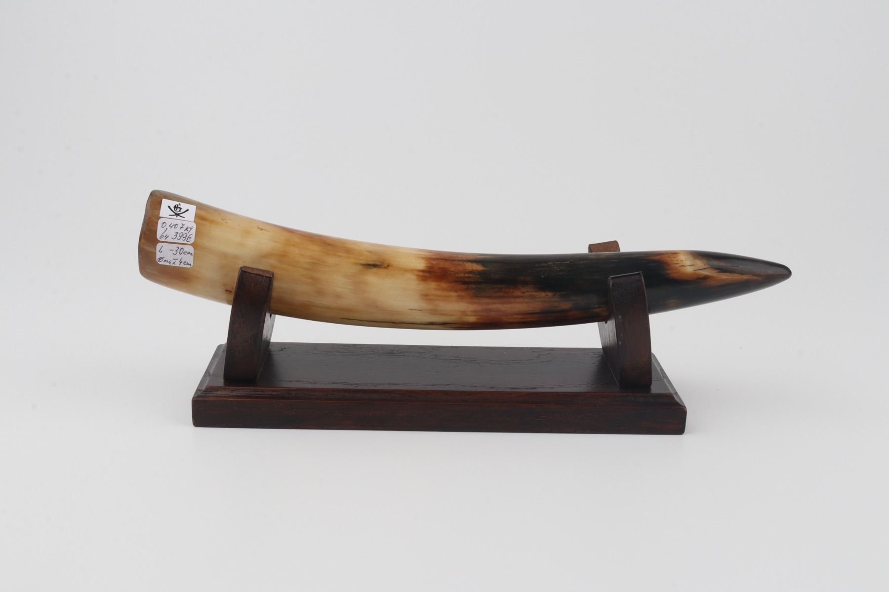 Restored woolly mammoth tusk tip