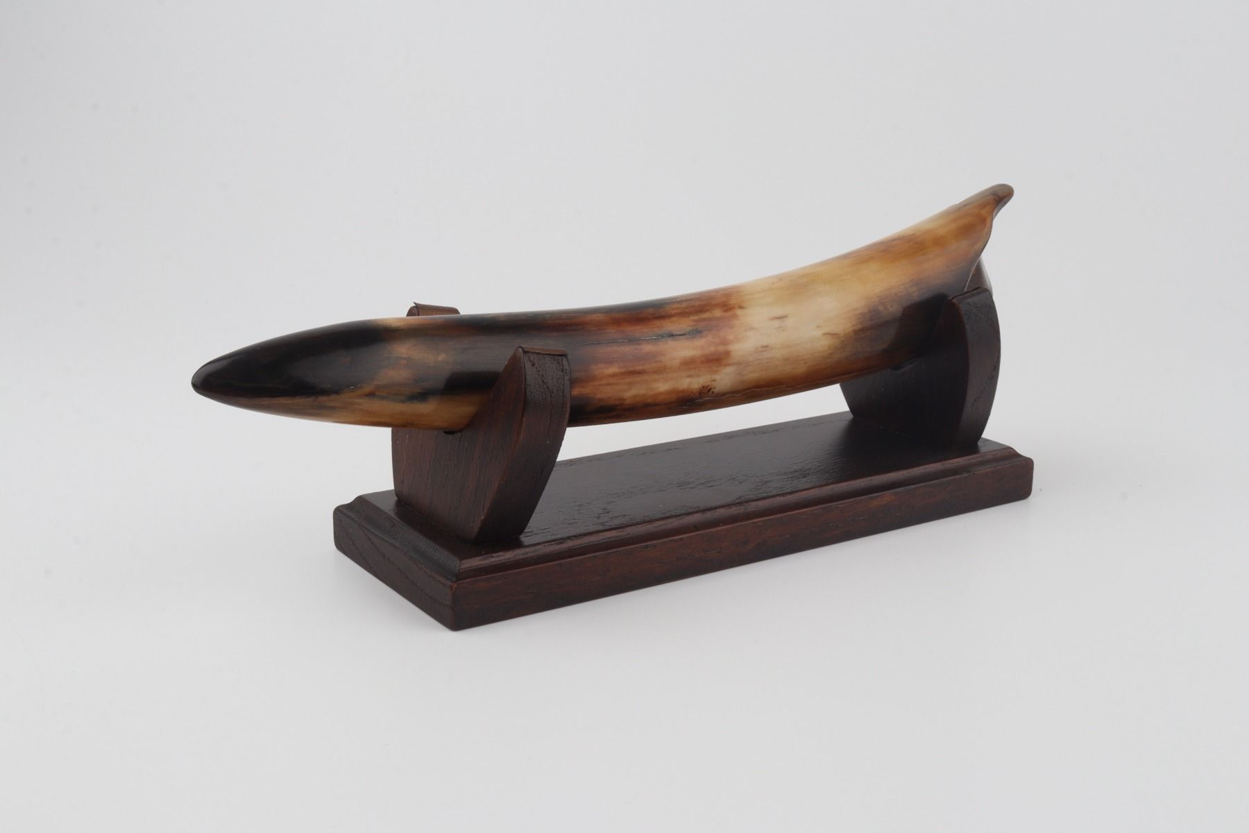 Restored woolly mammoth tusk tip