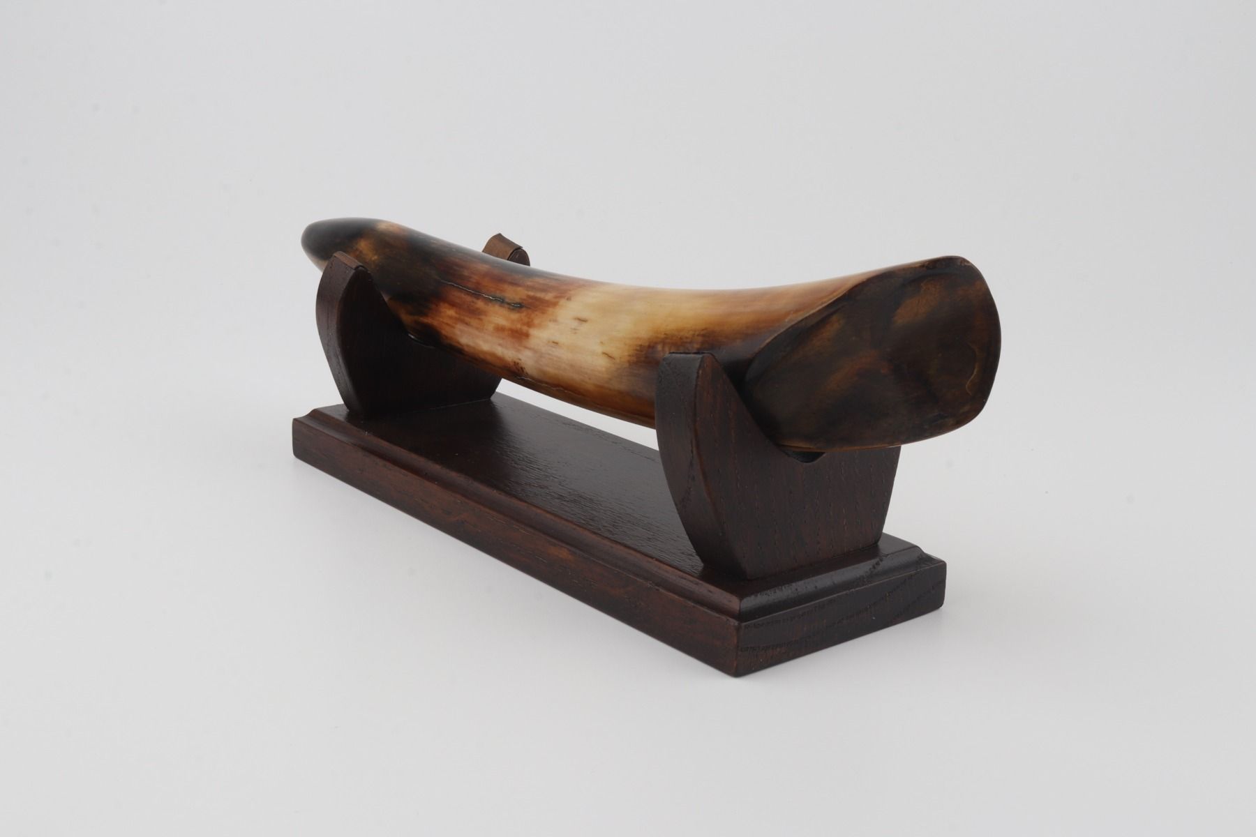 Restored woolly mammoth tusk tip