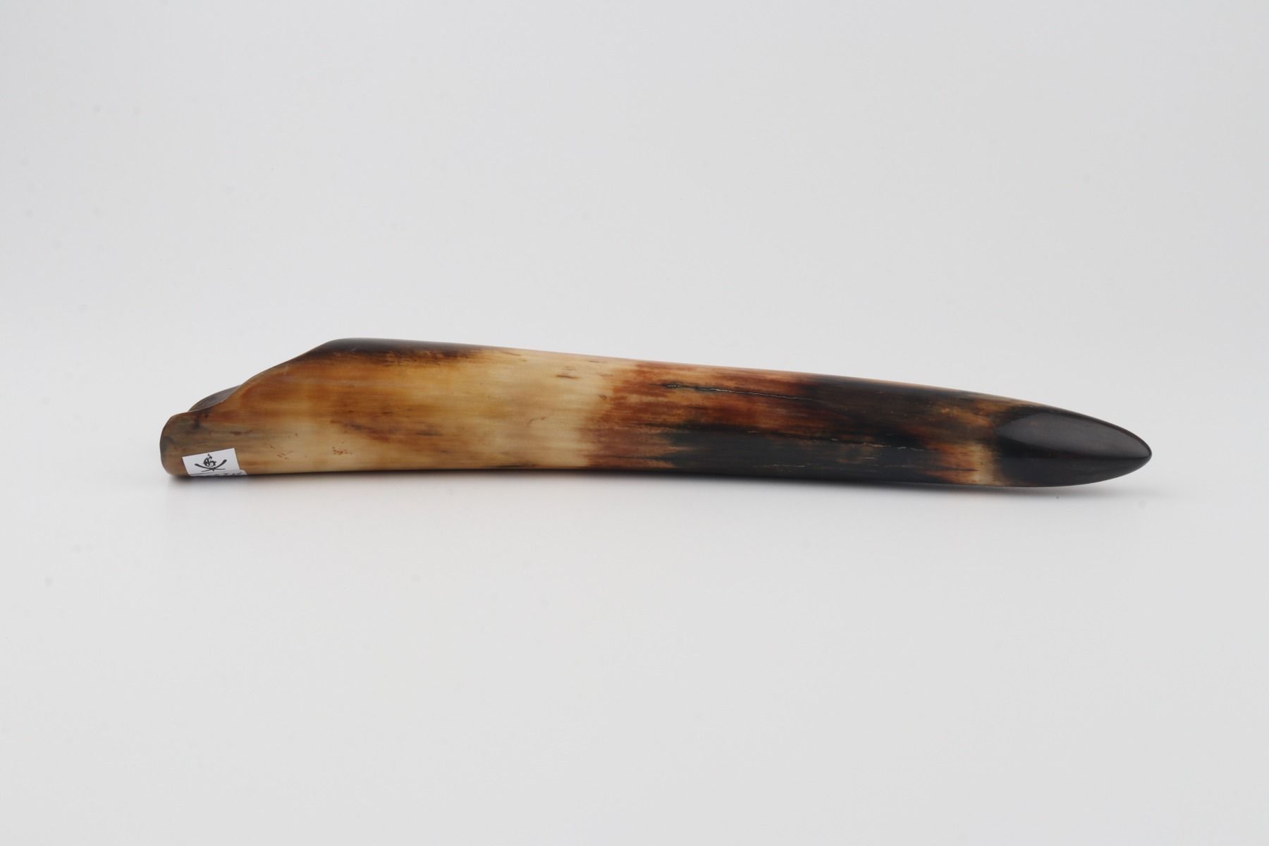 Restored woolly mammoth tusk tip