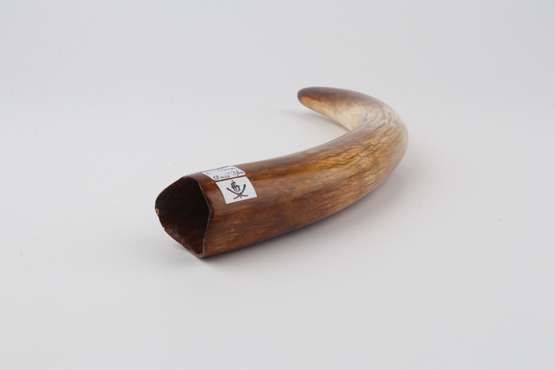 Restored mammoth tusk