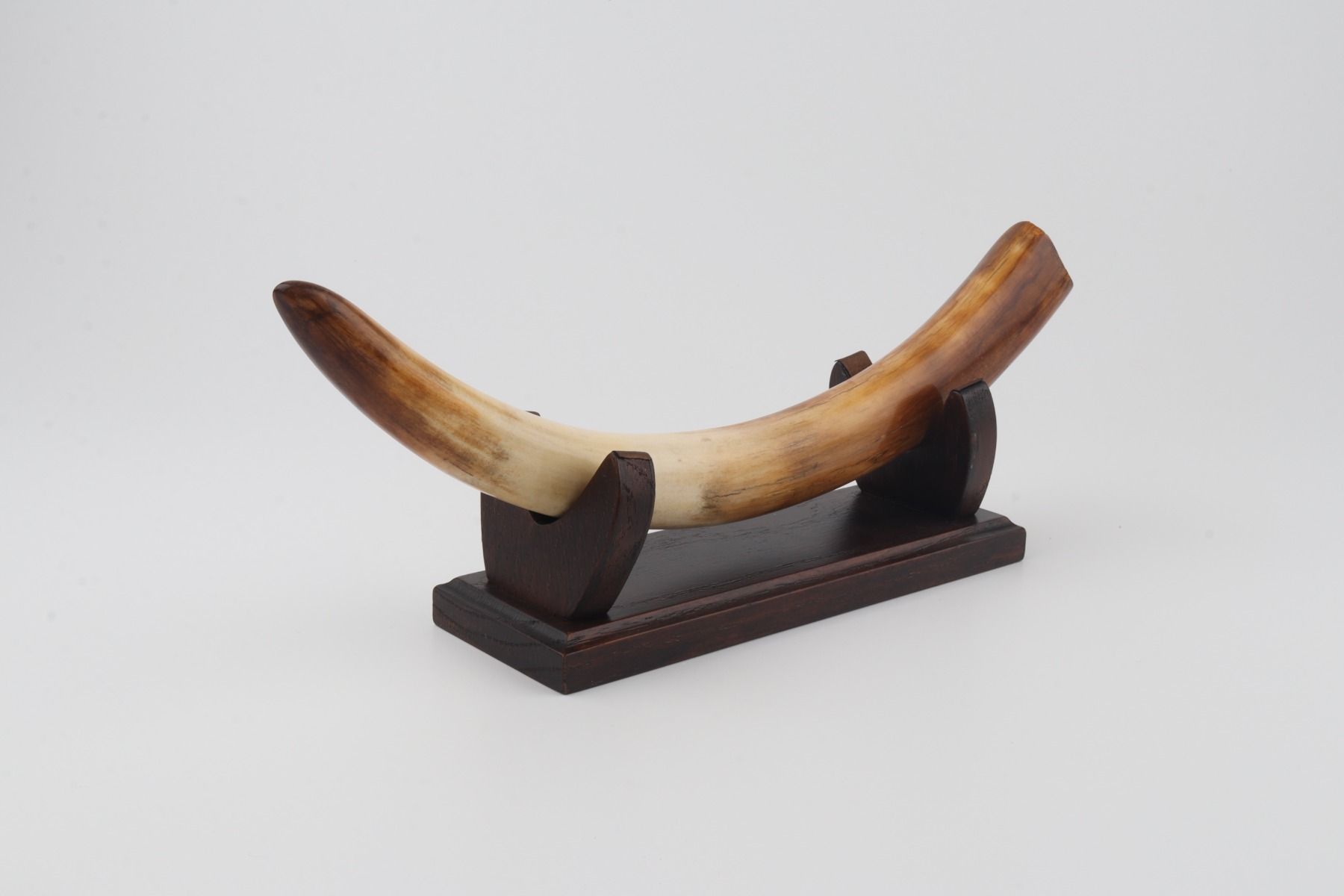 Restored mammoth tusk
