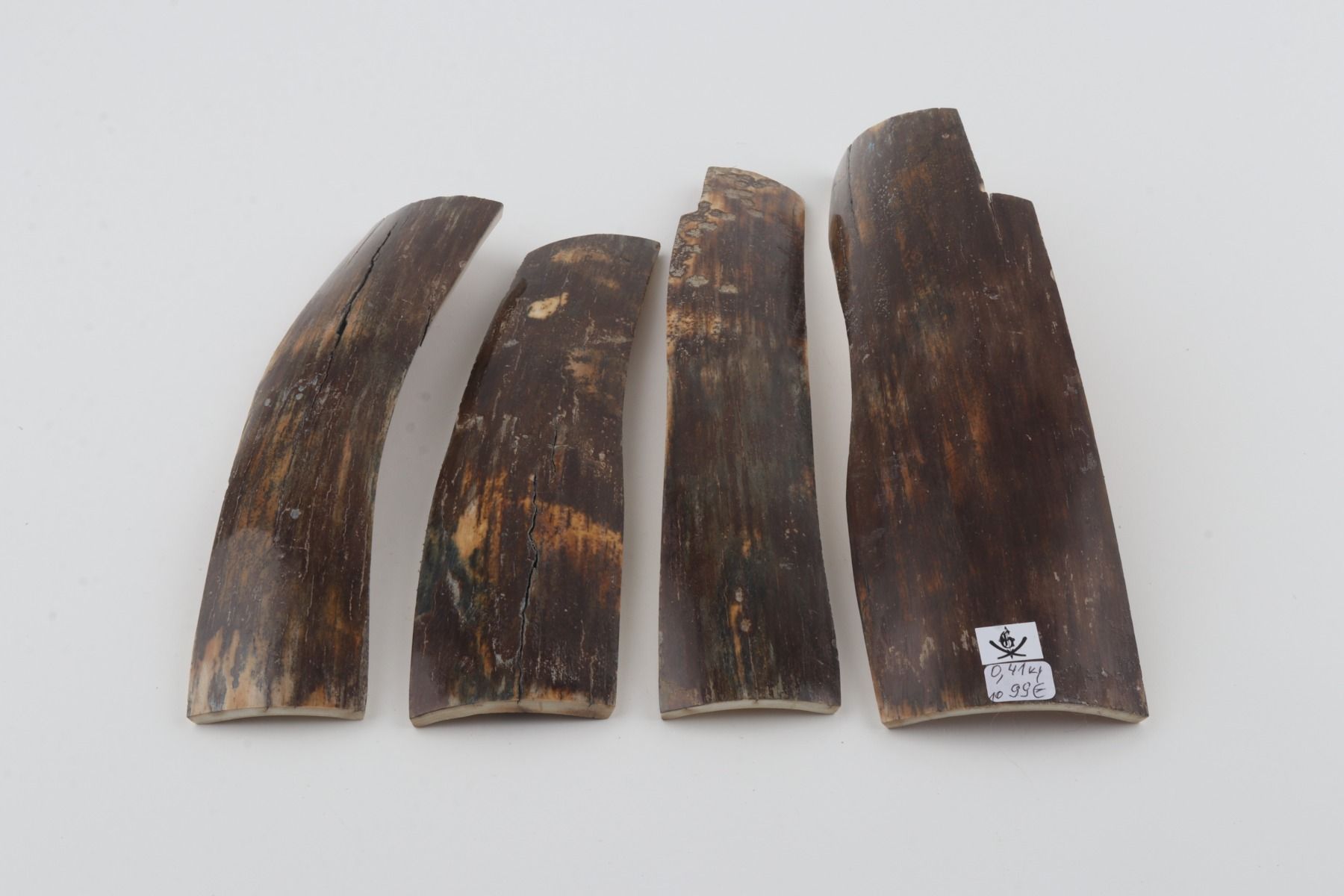 Brown mammoth bark pieces