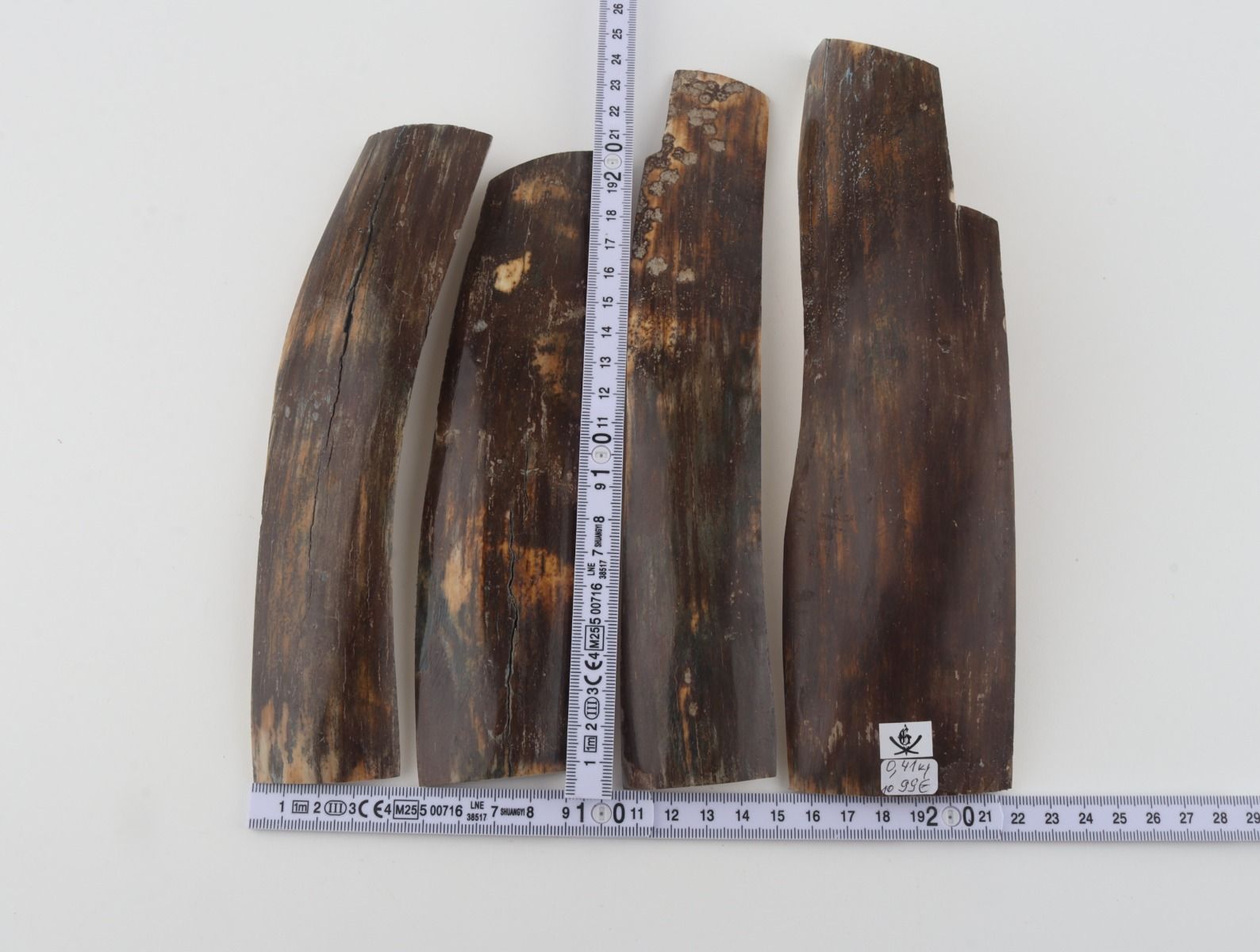 Brown mammoth bark pieces
