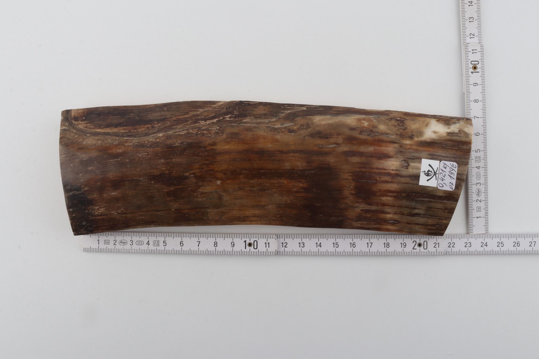 Brown mammoth bark