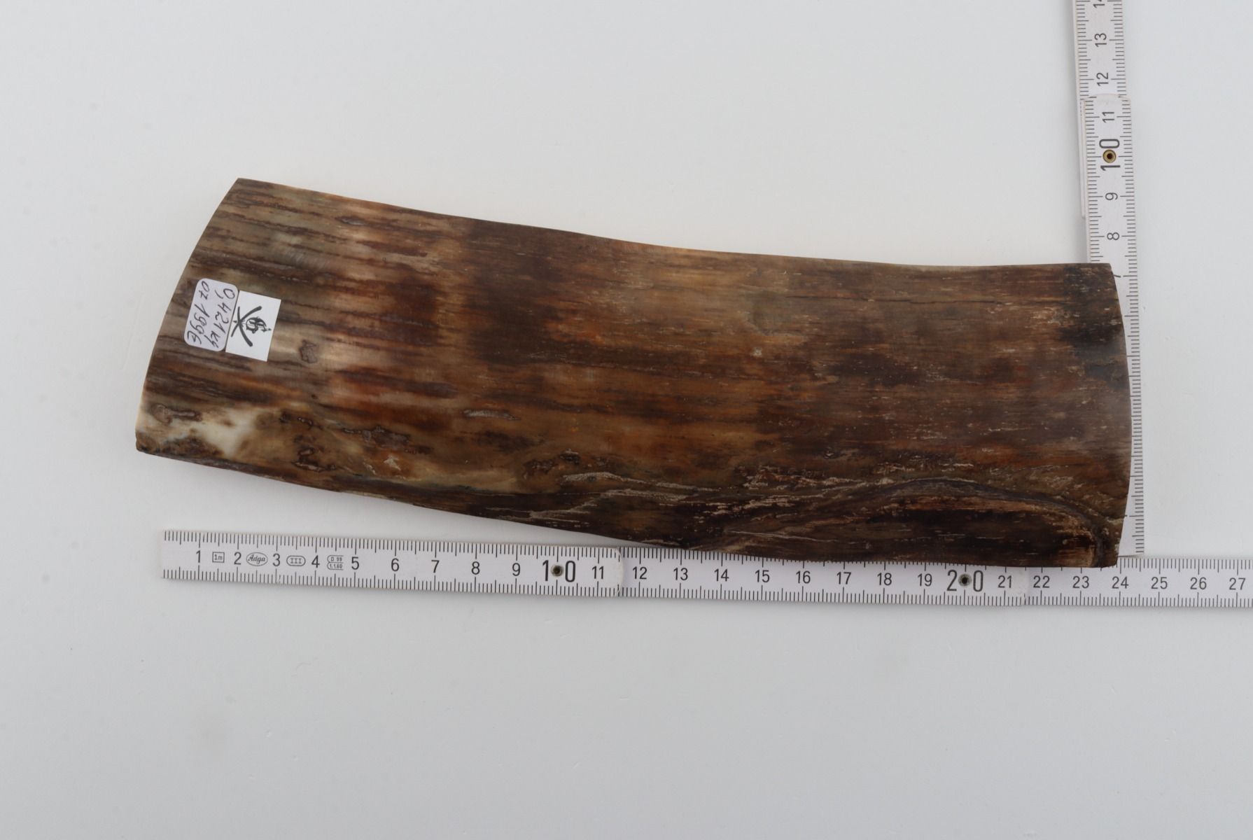 Brown mammoth bark