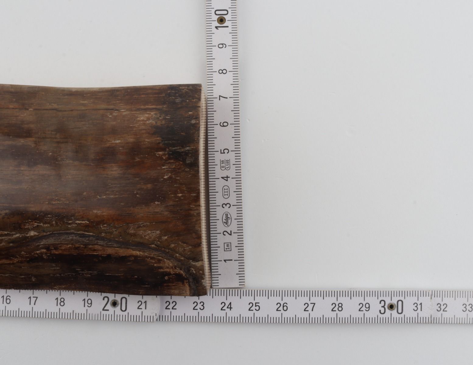 Brown mammoth bark