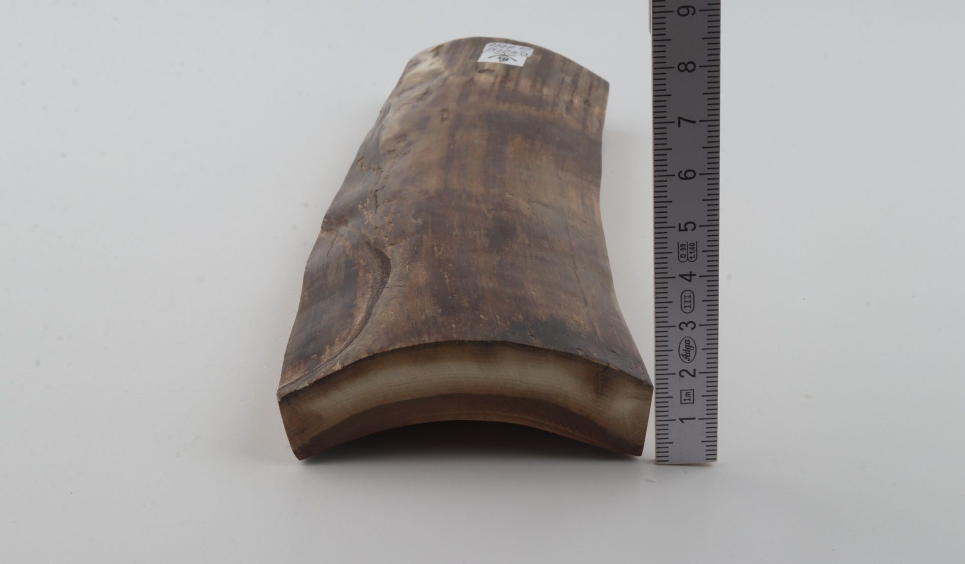 Brown mammoth bark