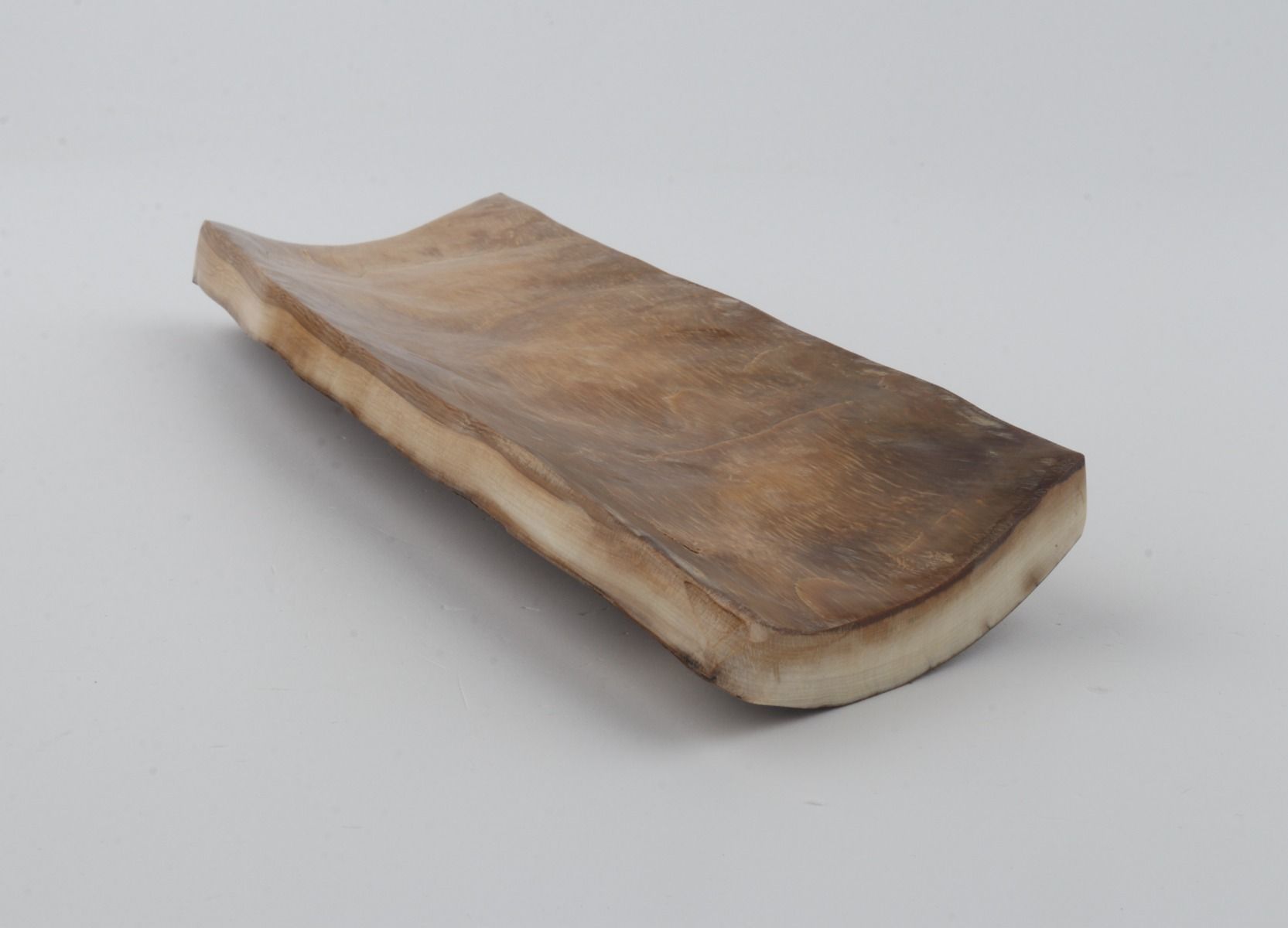 Brown mammoth bark