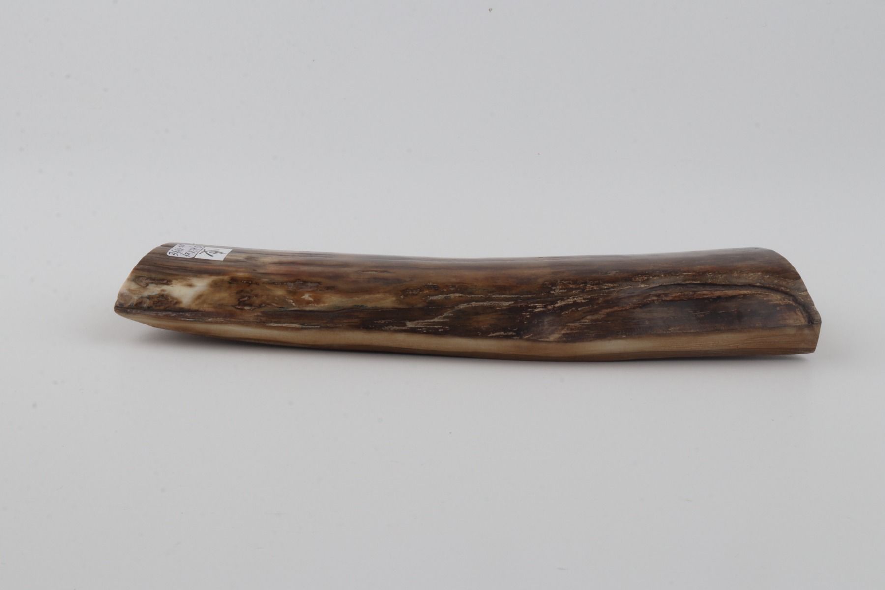 Brown mammoth bark
