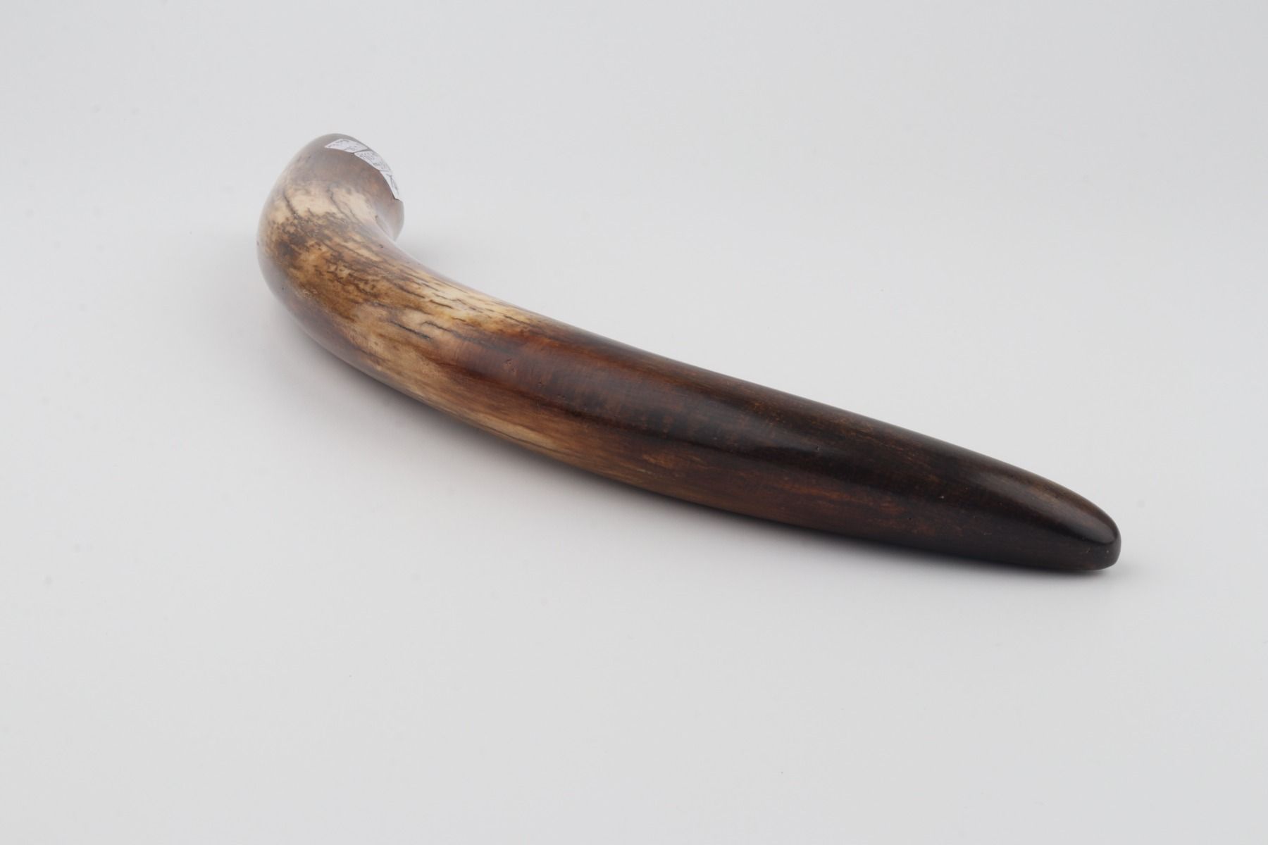 Restored woolly mammoth tusk