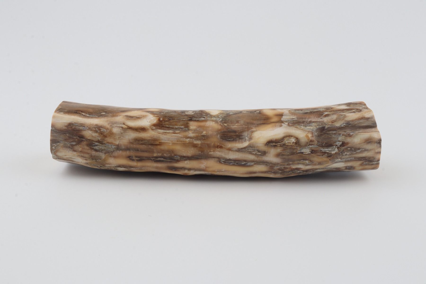 Round mammoth ivory piece