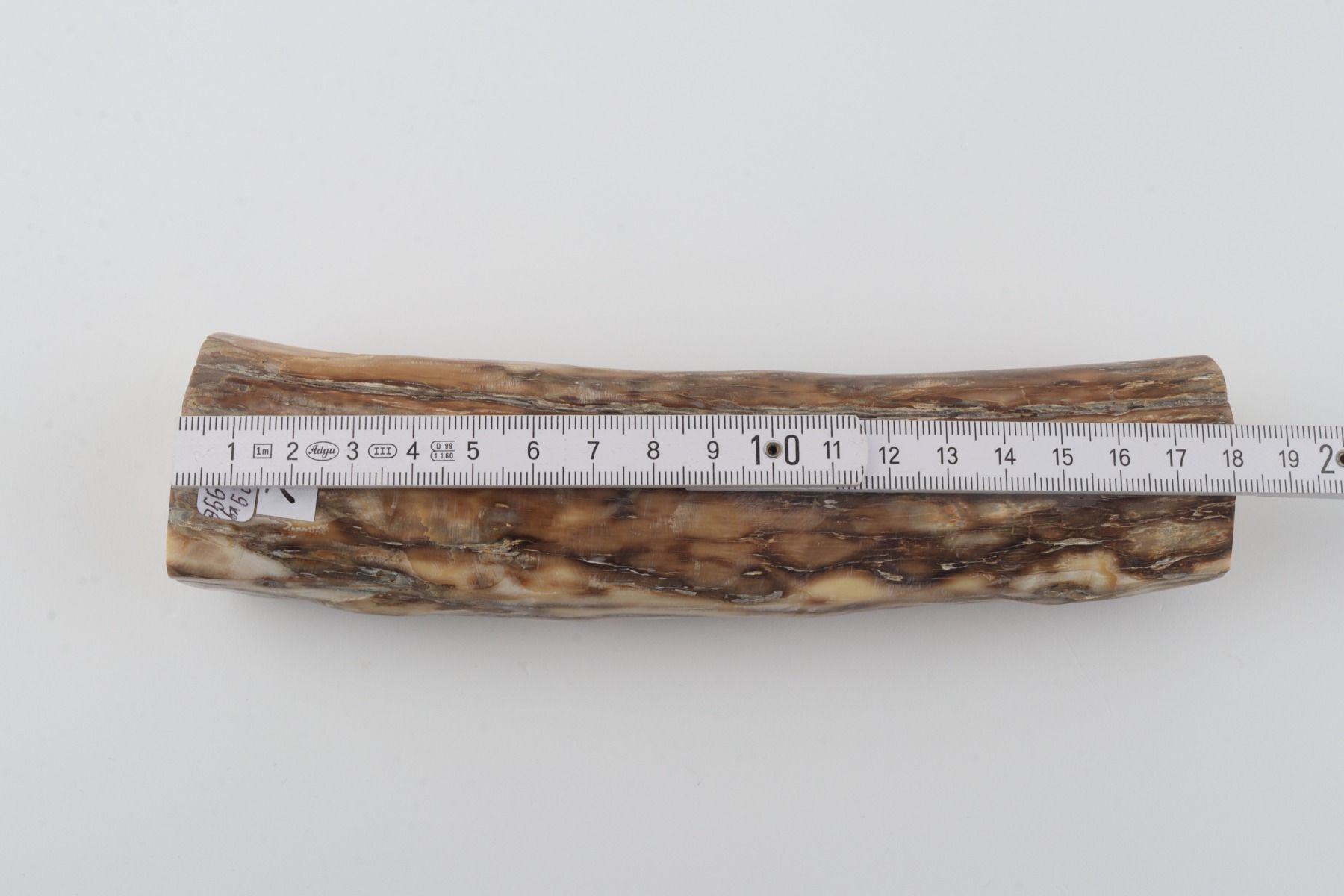 Round mammoth ivory piece
