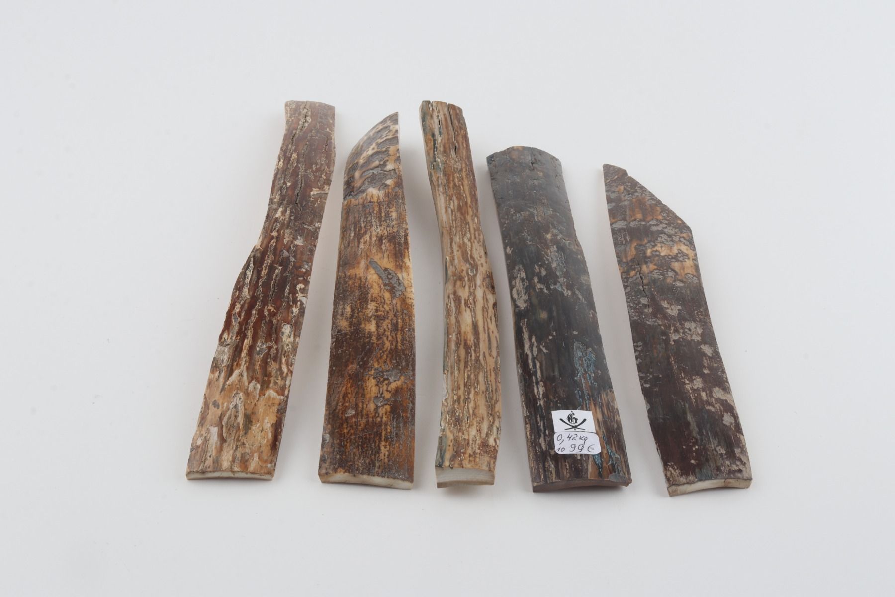 Natural woolly mammoth bark pieces
