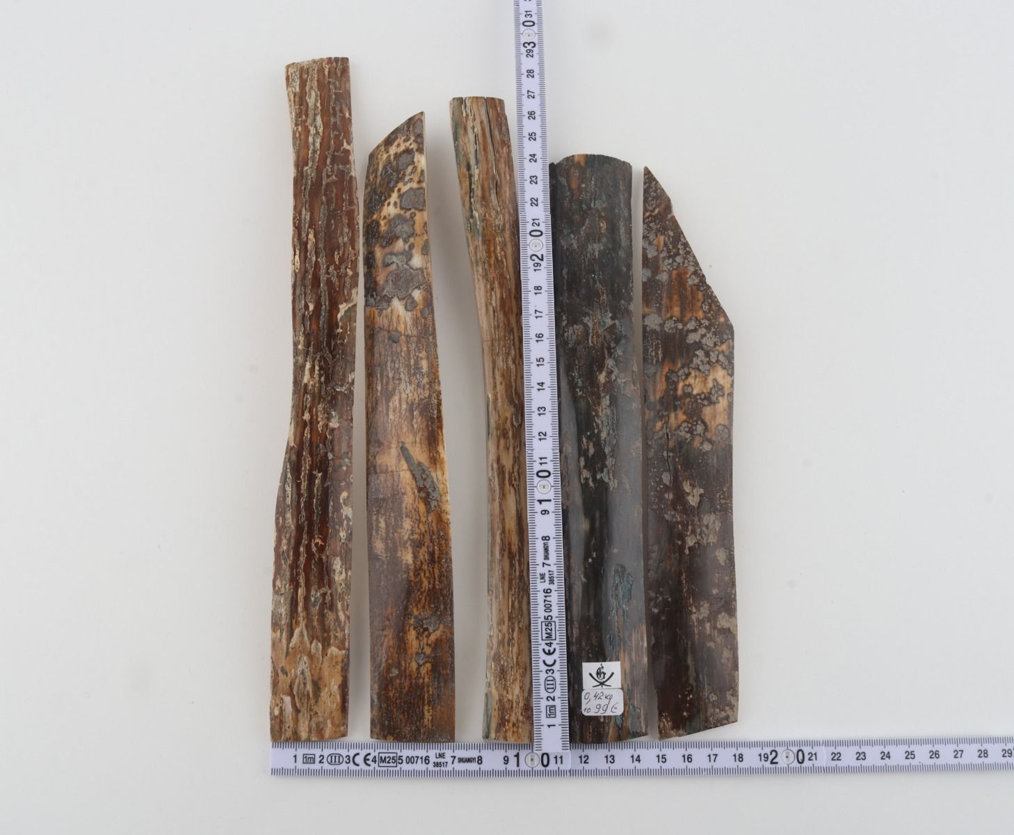 Natural woolly mammoth bark pieces