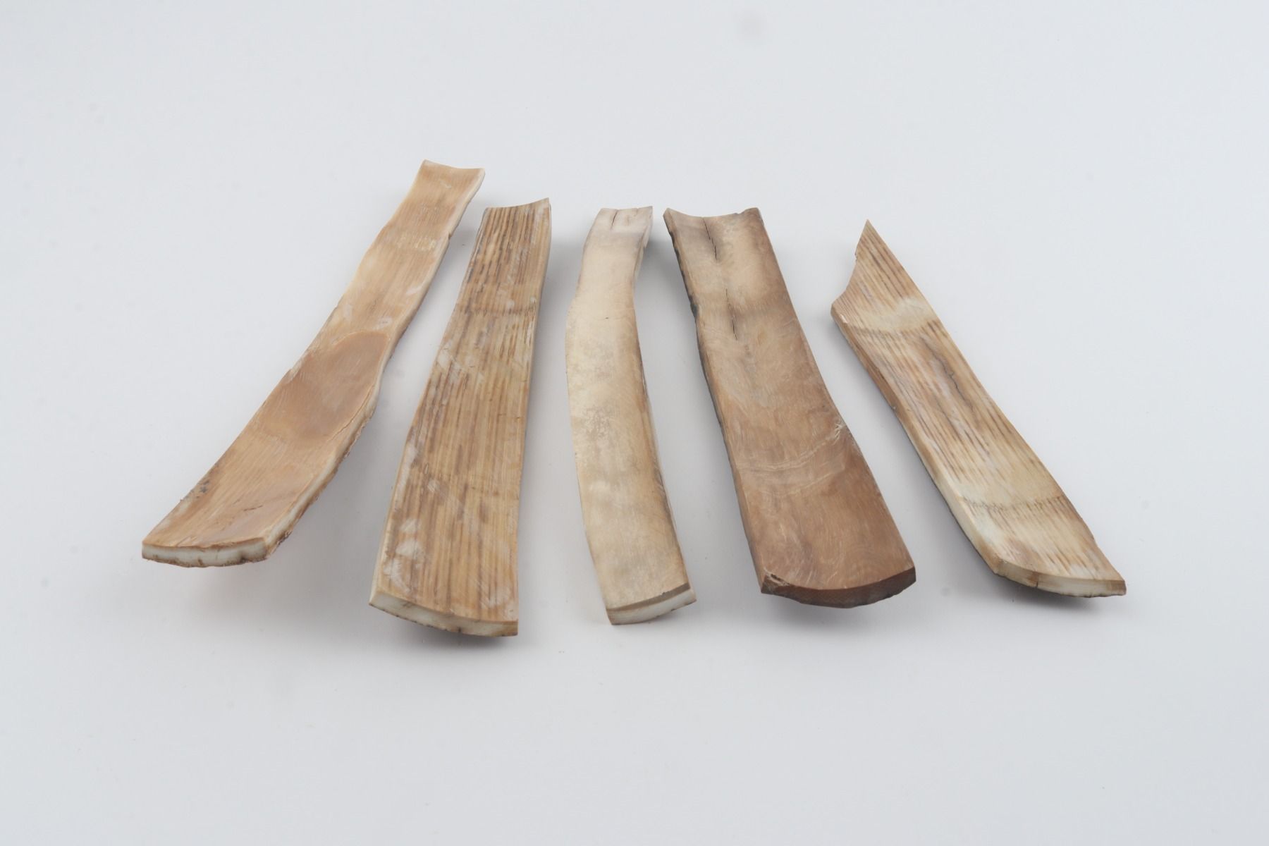Natural woolly mammoth bark pieces